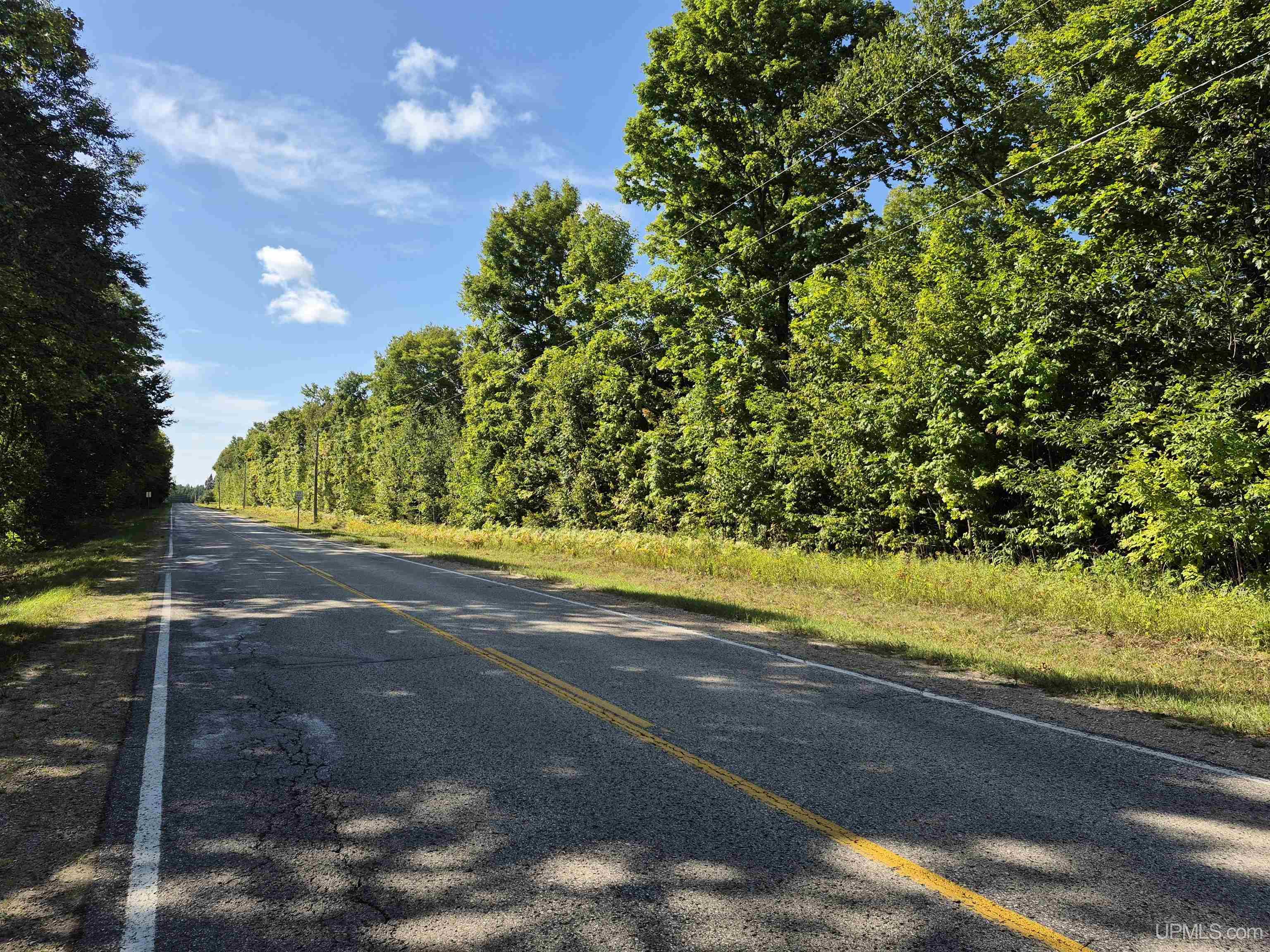 Photo 2 of Land for sale at 10 Acres River Rd, Gulliver, MI 49840 | MLS# 50221856 | Listing updated on 2026-09-16