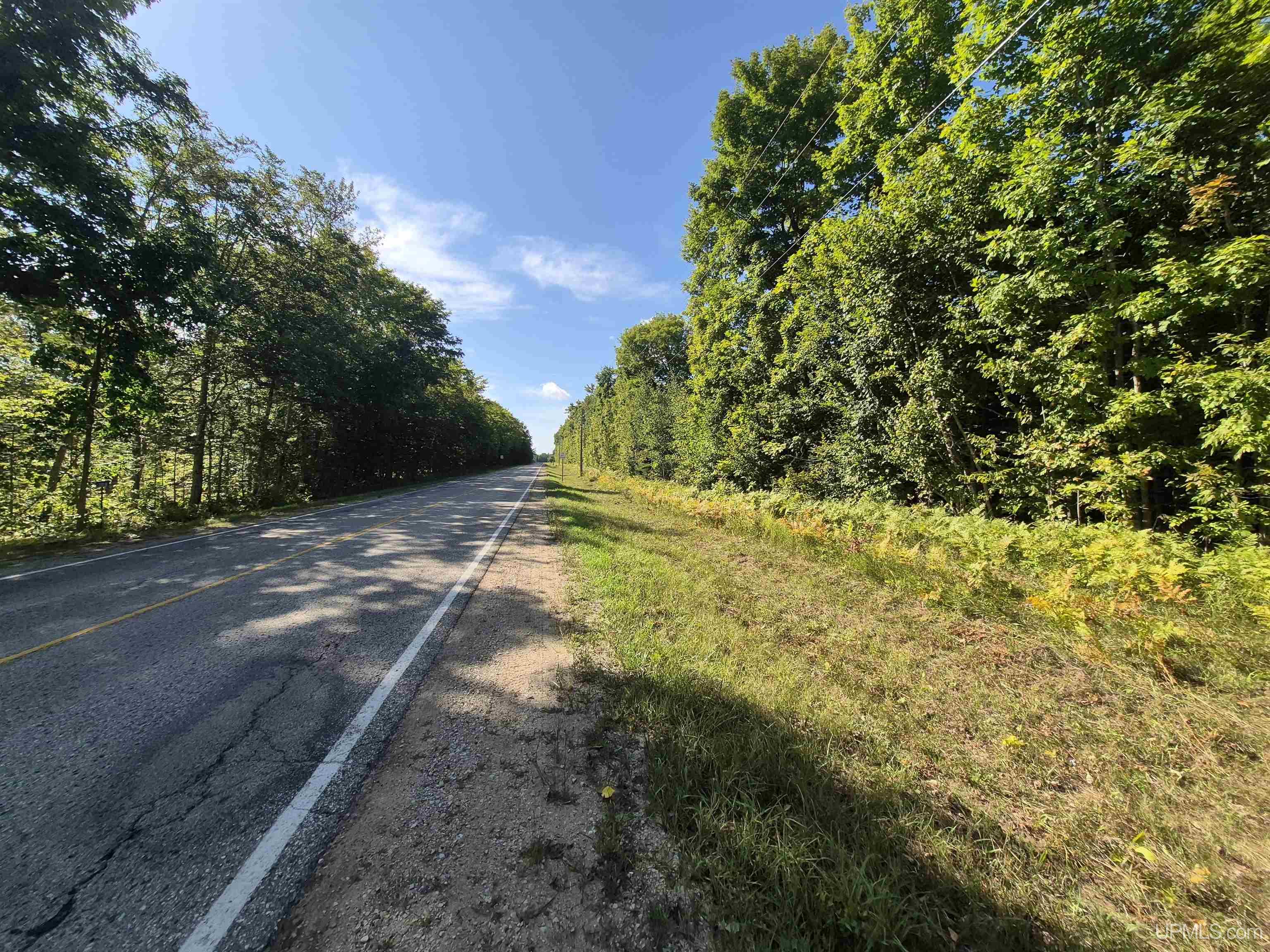 Photo 3 of Land for sale at 10 Acres River Rd, Gulliver, MI 49840 | MLS# 50221856 | Listing updated on 2026-09-16