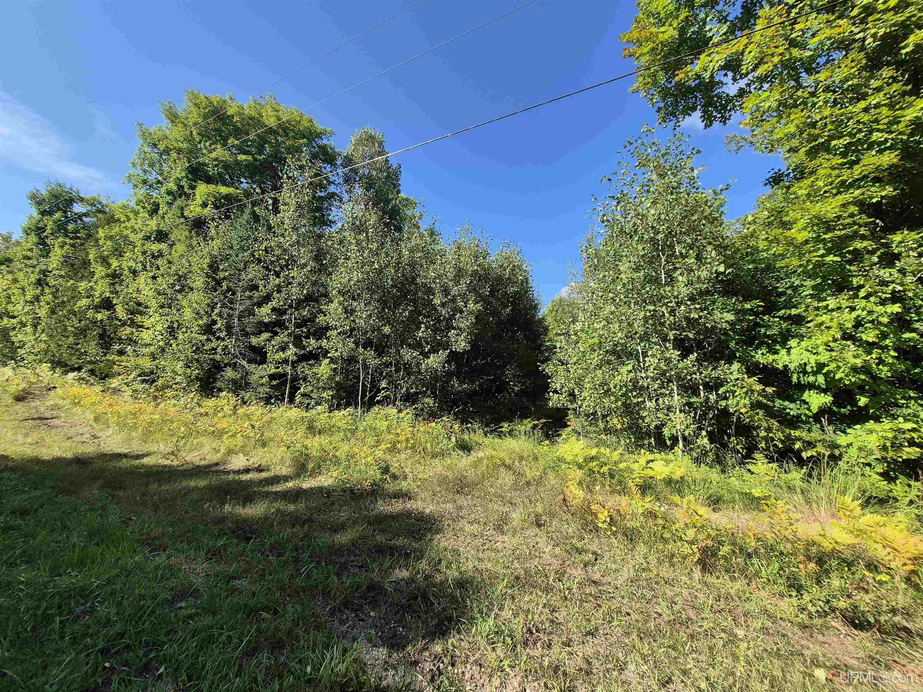 Photo 3 of Land for sale at 10 Acres River Rd, Gulliver, MI 49840 | MLS# 50221856 | Listing updated on 2026-09-16