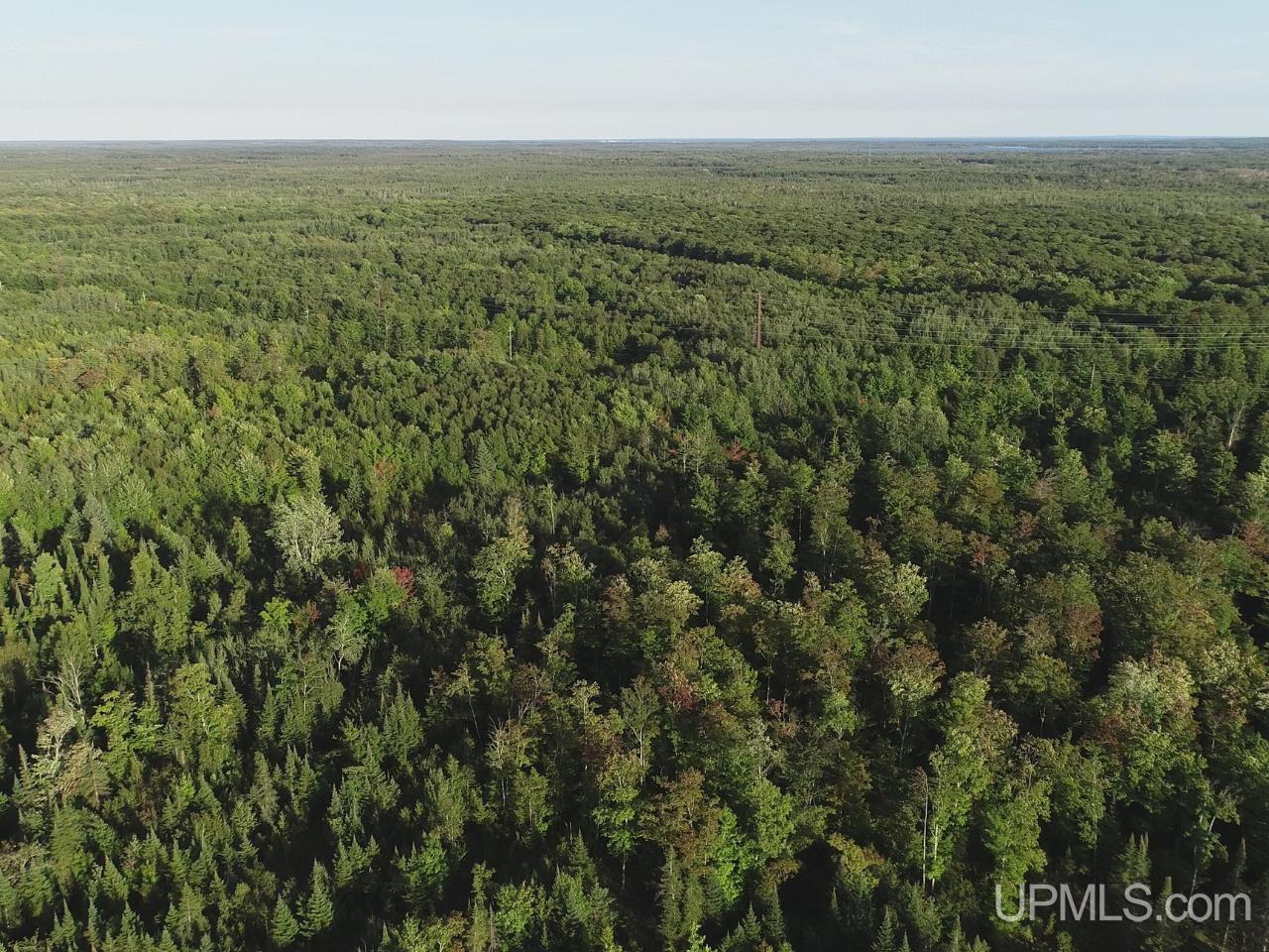 Photo 1 of Land for sale at 240 Acres Cooper Rd, Gulliver, MI 49840 | MLS# 50221861 | Listing updated on 2026-09-16