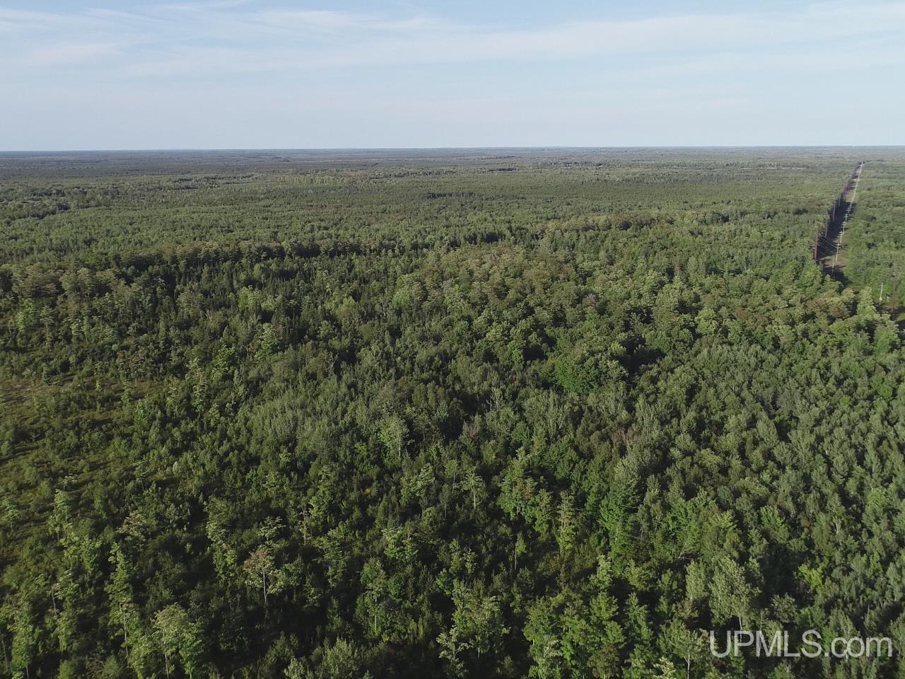 Photo 2 of Land for sale at 240 Acres Cooper Rd, Gulliver, MI 49840 | MLS# 50221861 | Listing updated on 2026-09-16