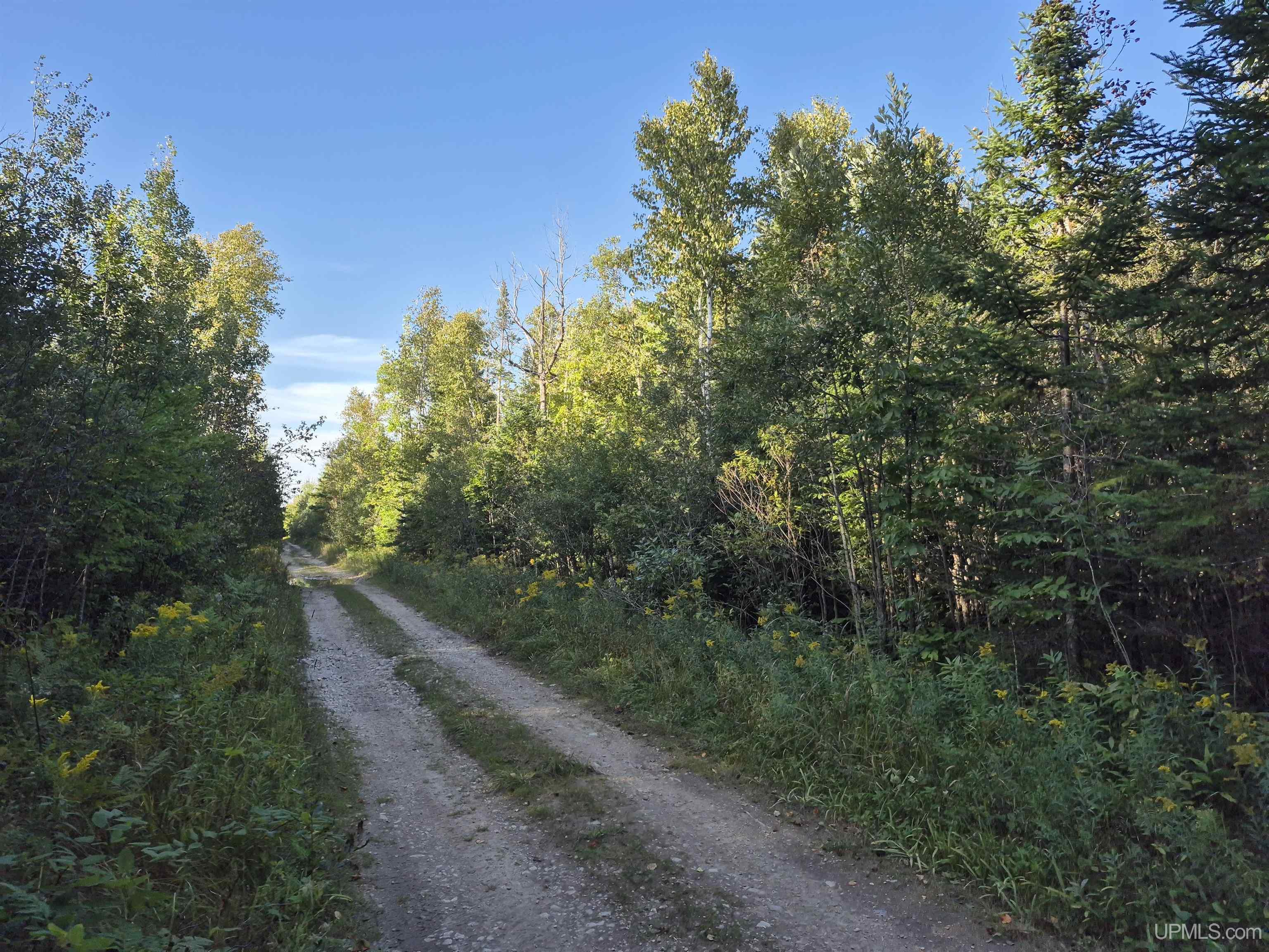 Photo 3 of Land for sale at 240 Acres Cooper Rd, Gulliver, MI 49840 | MLS# 50221861 | Listing updated on 2026-09-16