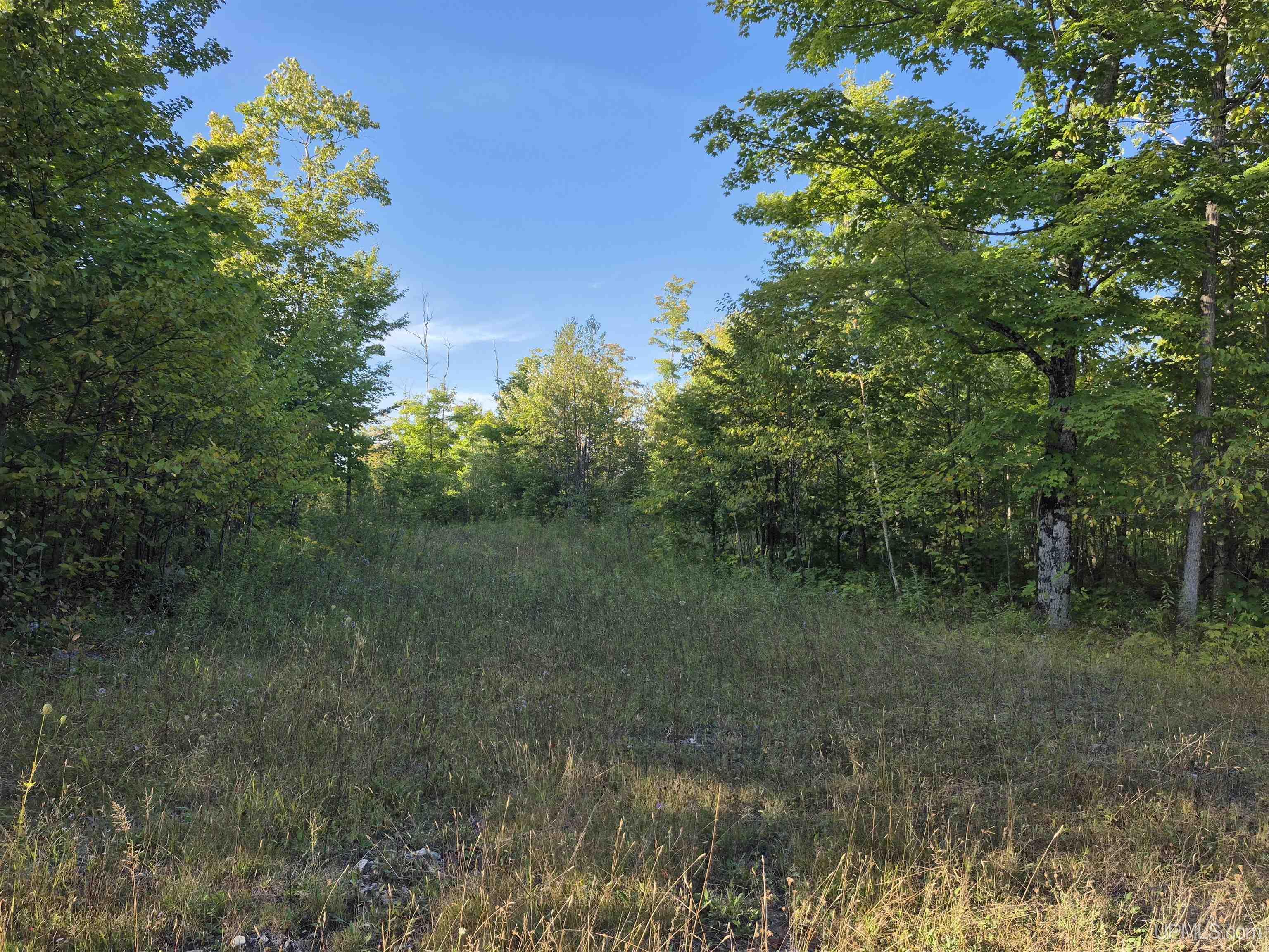 Photo 3 of Land for sale at 240 Acres Cooper Rd, Gulliver, MI 49840 | MLS# 50221861 | Listing updated on 2026-09-16
