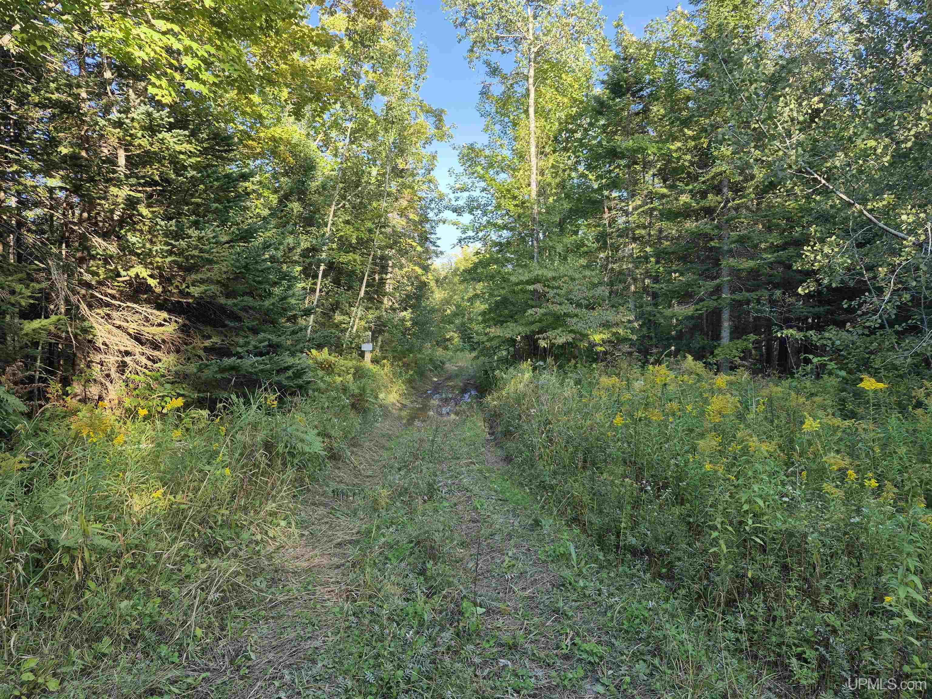 Photo 4 of Land for sale at 240 Acres Cooper Rd, Gulliver, MI 49840 | MLS# 50221861 | Listing updated on 2026-09-16