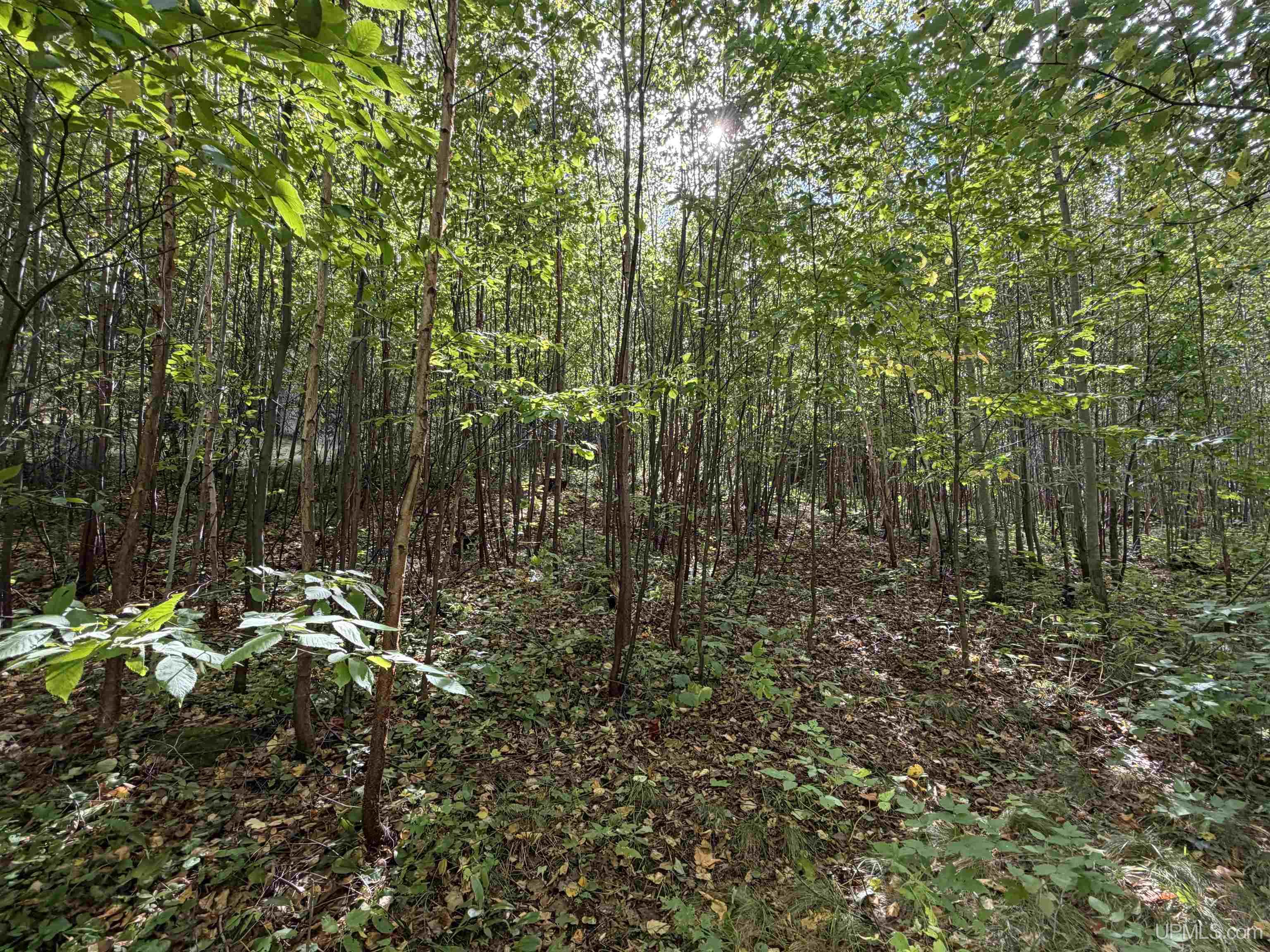 Photo 2 of Land for sale at W 40 +/  Acres 2116 Us 41 Hwy, Michigamme, MI 49861 | MLS# 50221884 | Listing updated on 2026-09-16