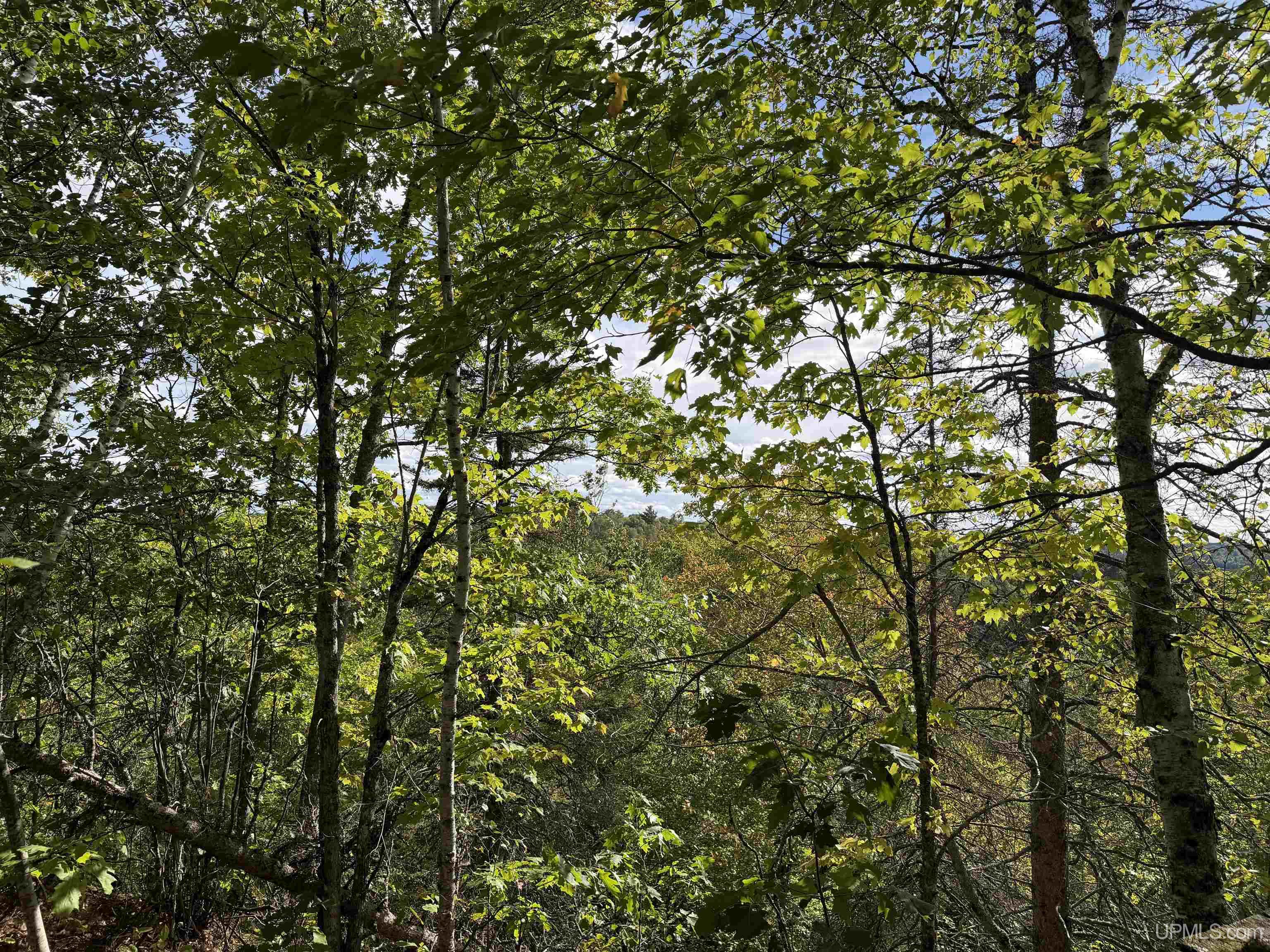 Photo 3 of Land for sale at W 40 +/- Acres 2116 US 41 Hwy, Michigamme, MI 49861 | MLS# 50221884 | Listing updated on 2026-09-16