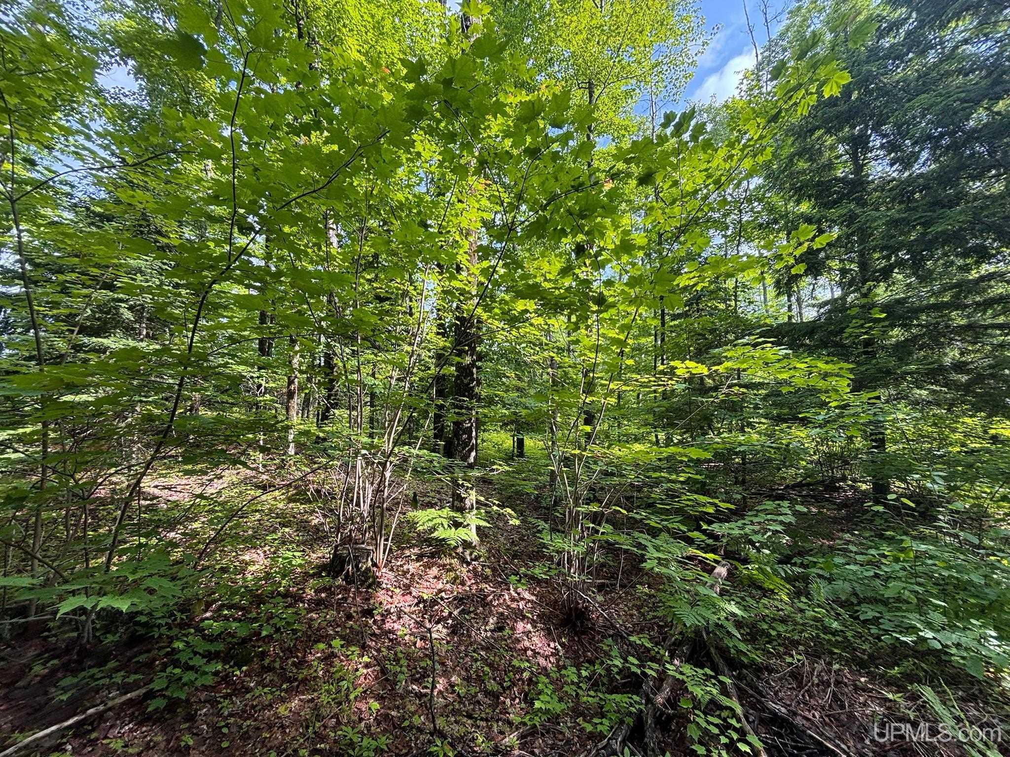 Photo 4 of Land for sale at Tbd Bear Town Rd, Baraga, MI 49908 | MLS# 50221937 | Listing updated on 2026-09-17