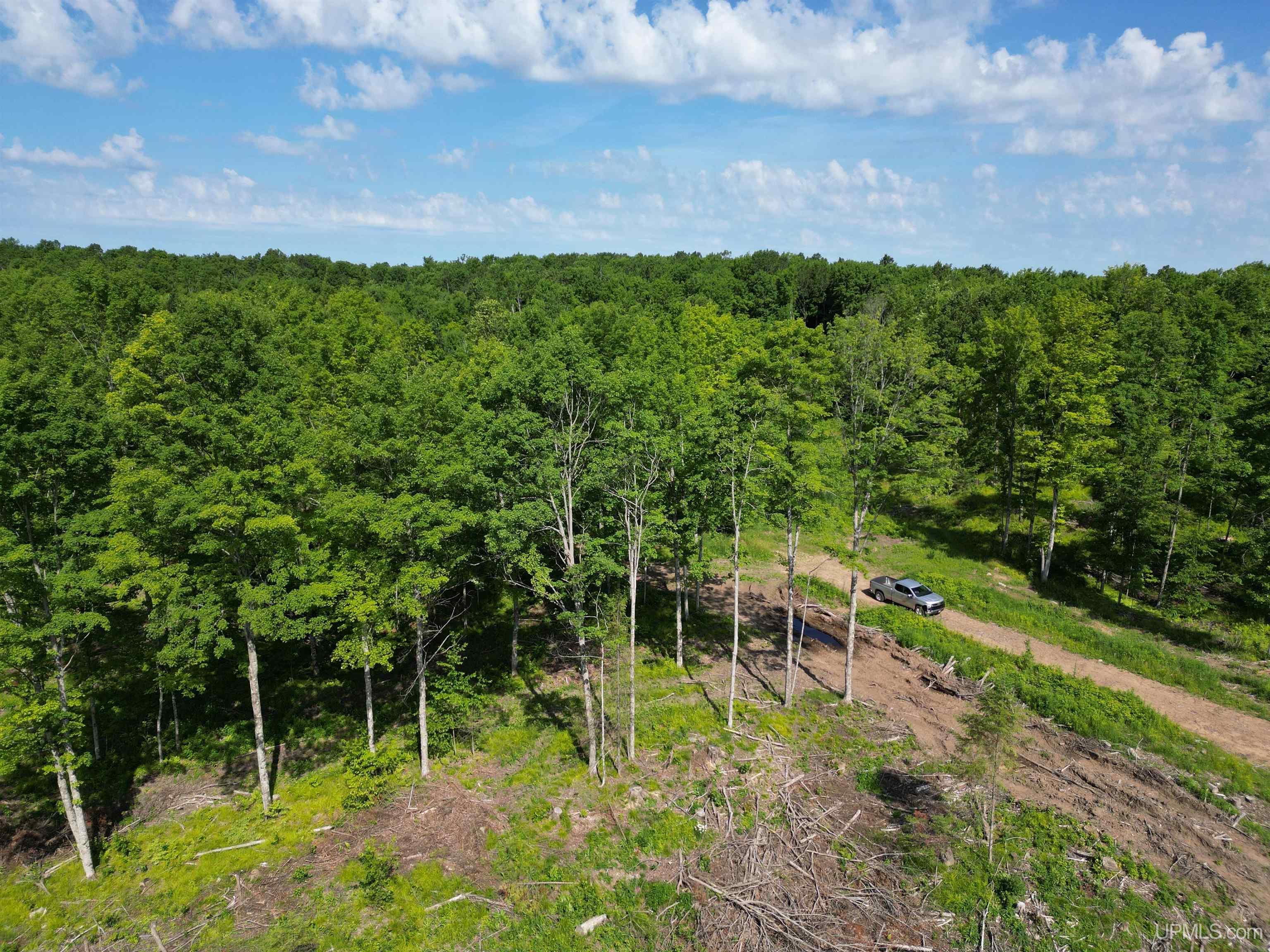 Photo 3 of Land for sale at Tbd N County Line Rd, Crystal Falls, MI 49920 | MLS# 50221941 | Listing updated on 2026-09-16