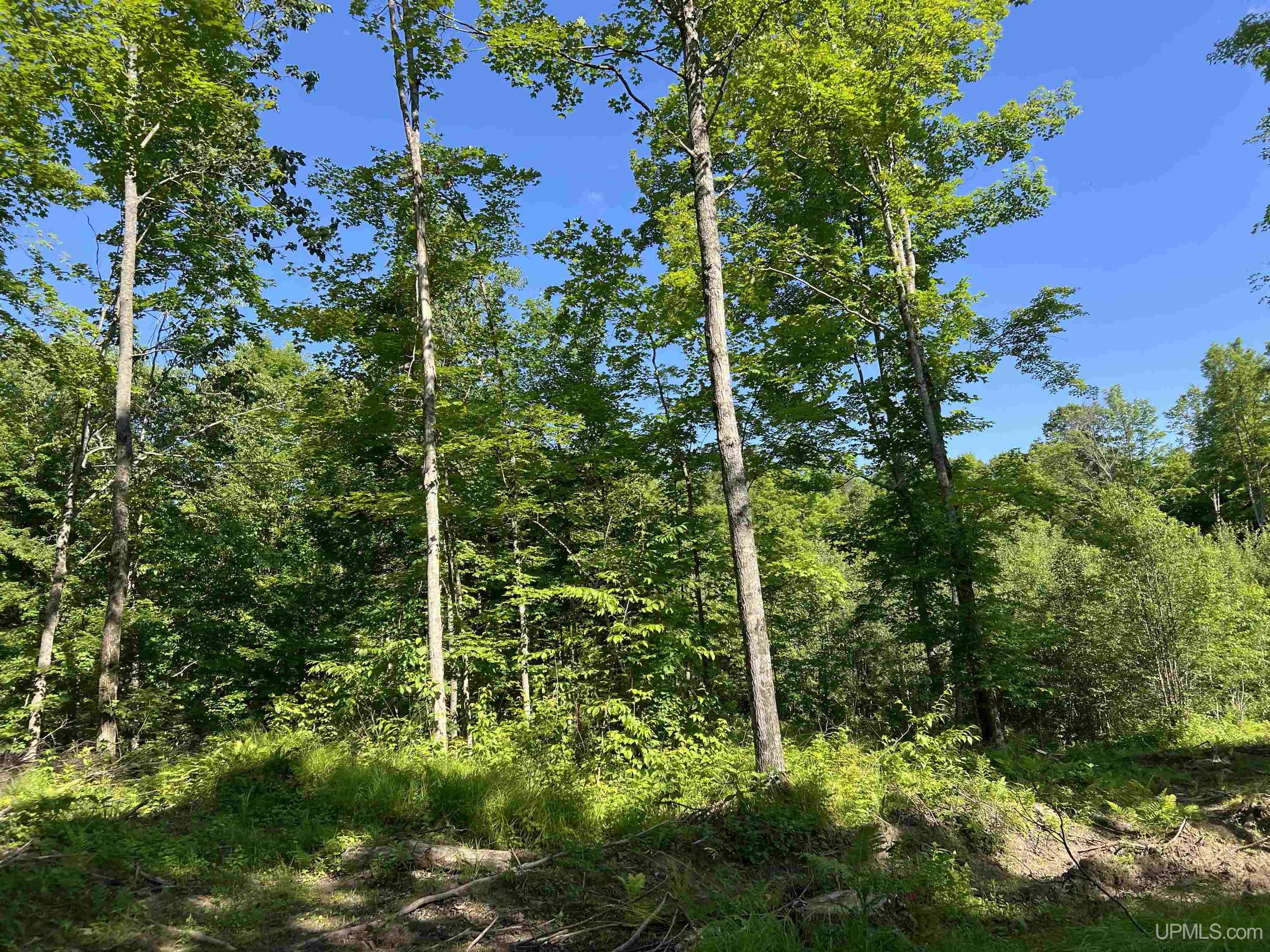 Photo 4 of Land for sale at Tbd N County Line Rd, Crystal Falls, MI 49920 | MLS# 50221941 | Listing updated on 2026-09-16
