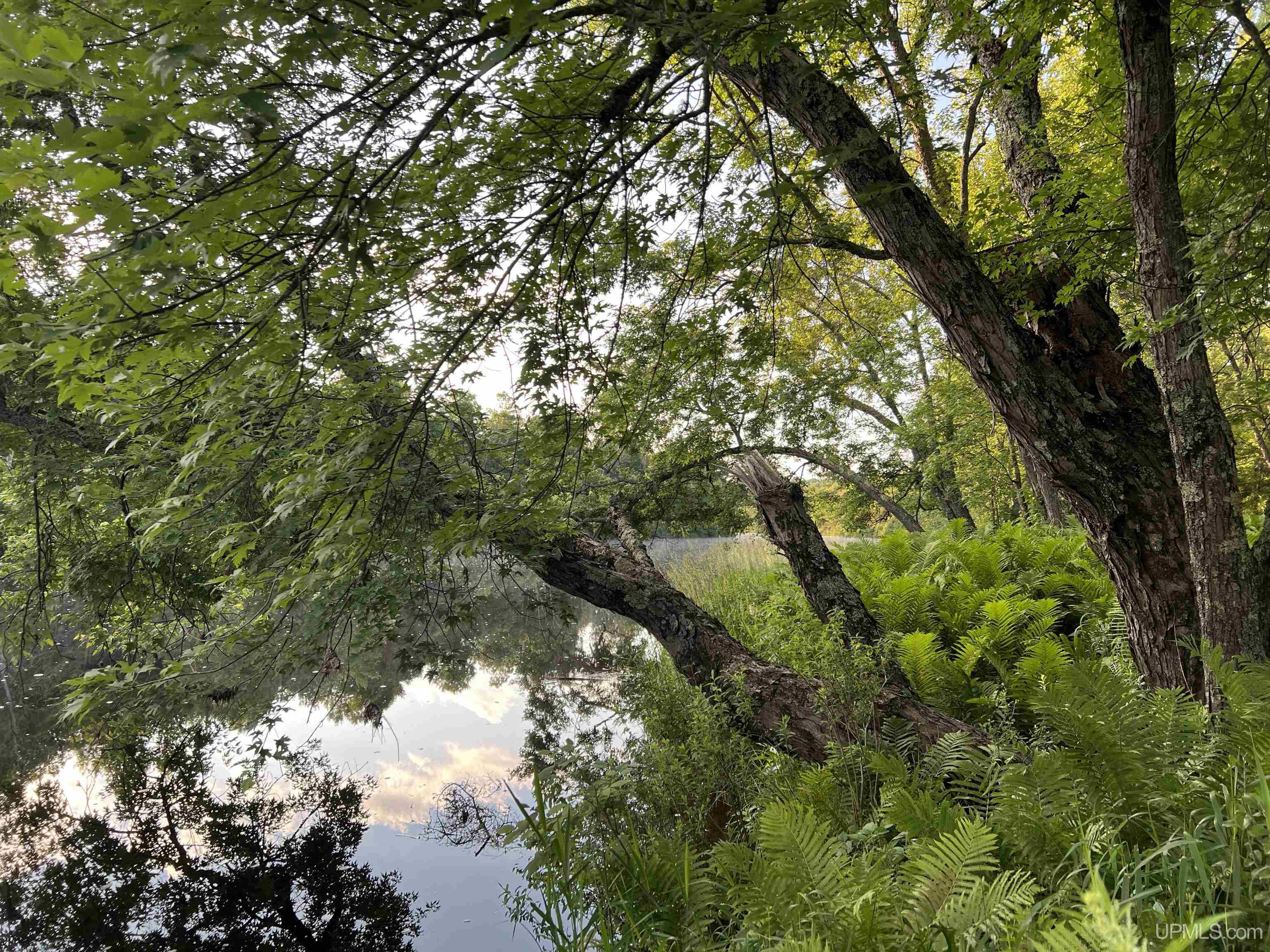 Photo 4 of Land for sale at Tbd Kuivila Rd, Crystal Falls, MI 49938 | MLS# 50221949 | Listing updated on 2026-10-05