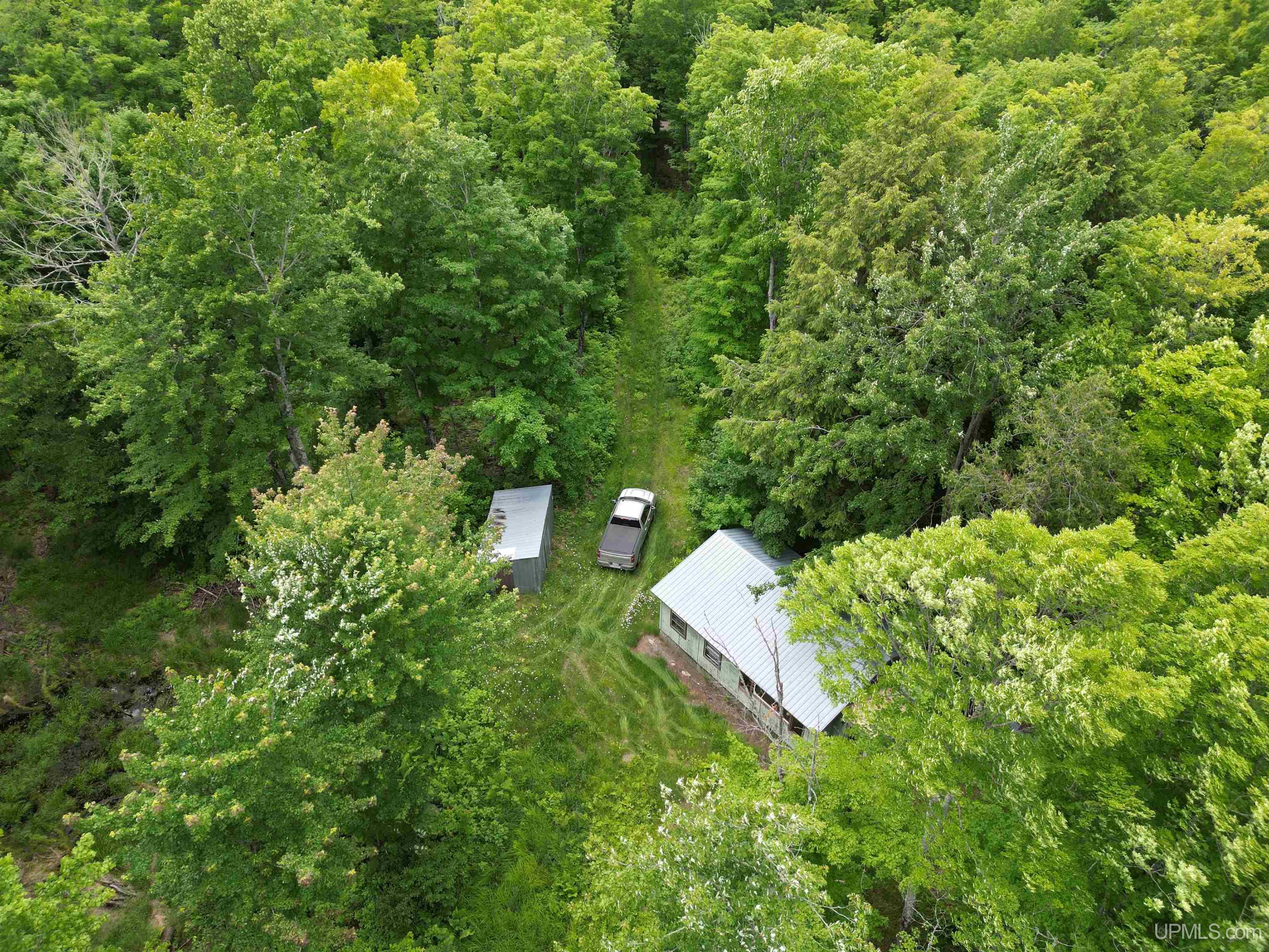 Photo 4 of Land for sale at Tbd Usfs 2130 Rd, Iron River, MI 49970 | MLS# 50221950 | Listing updated on 2026-09-16