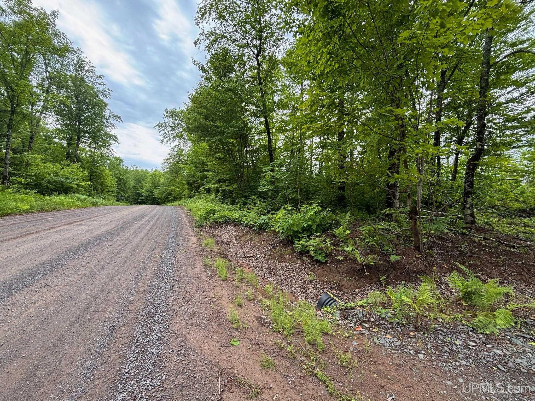 Photo 4 of Land for sale at Tbd Pike Lake Rd, Toivola, MI 49965 | MLS# 50221952 | Listing updated on 2026-09-17