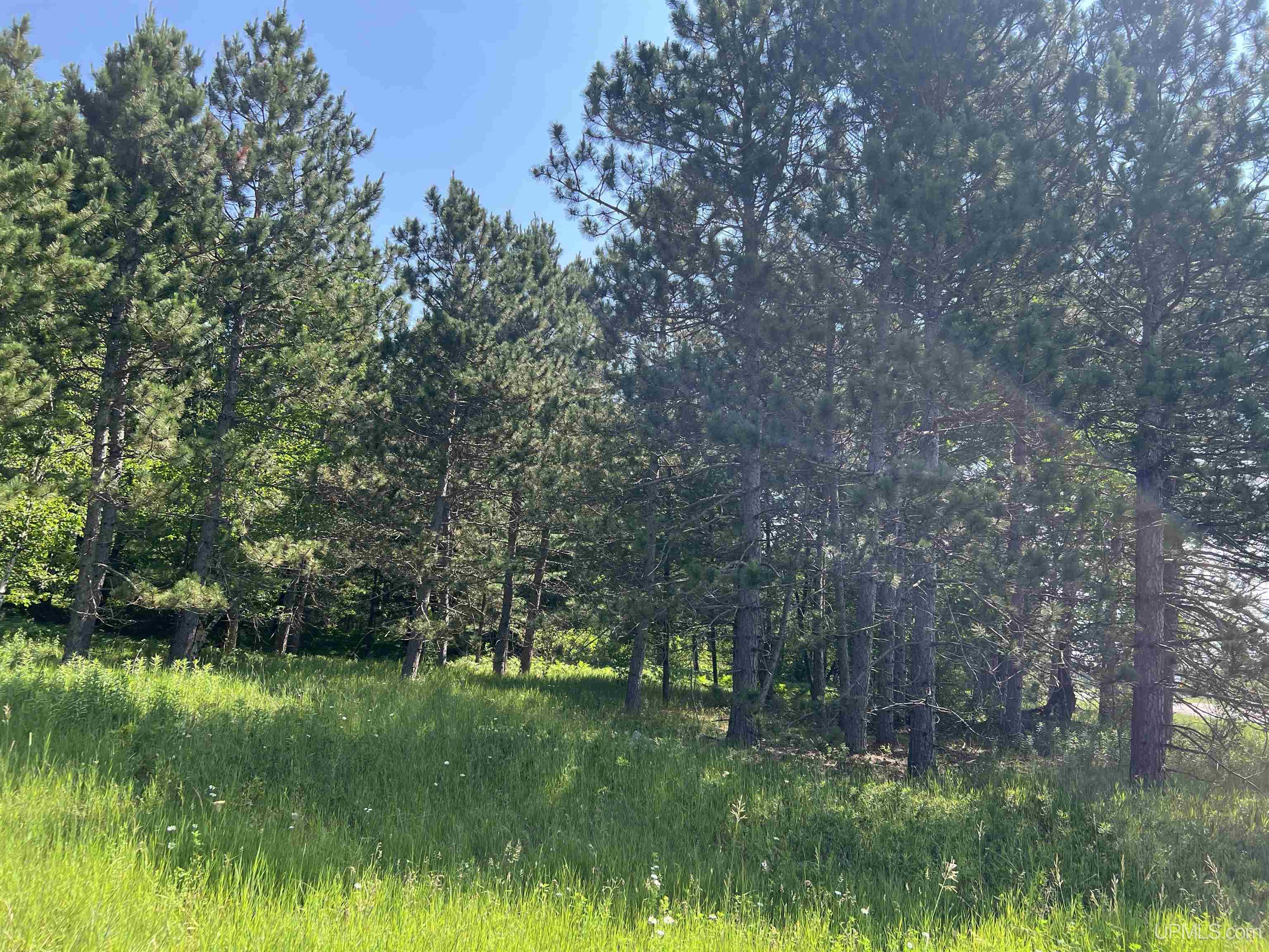 Photo 4 of Land for sale at Tbd US Hwy 2, Quinnesec, MI 49876 | MLS# 50221954 | Listing updated on 2026-09-16