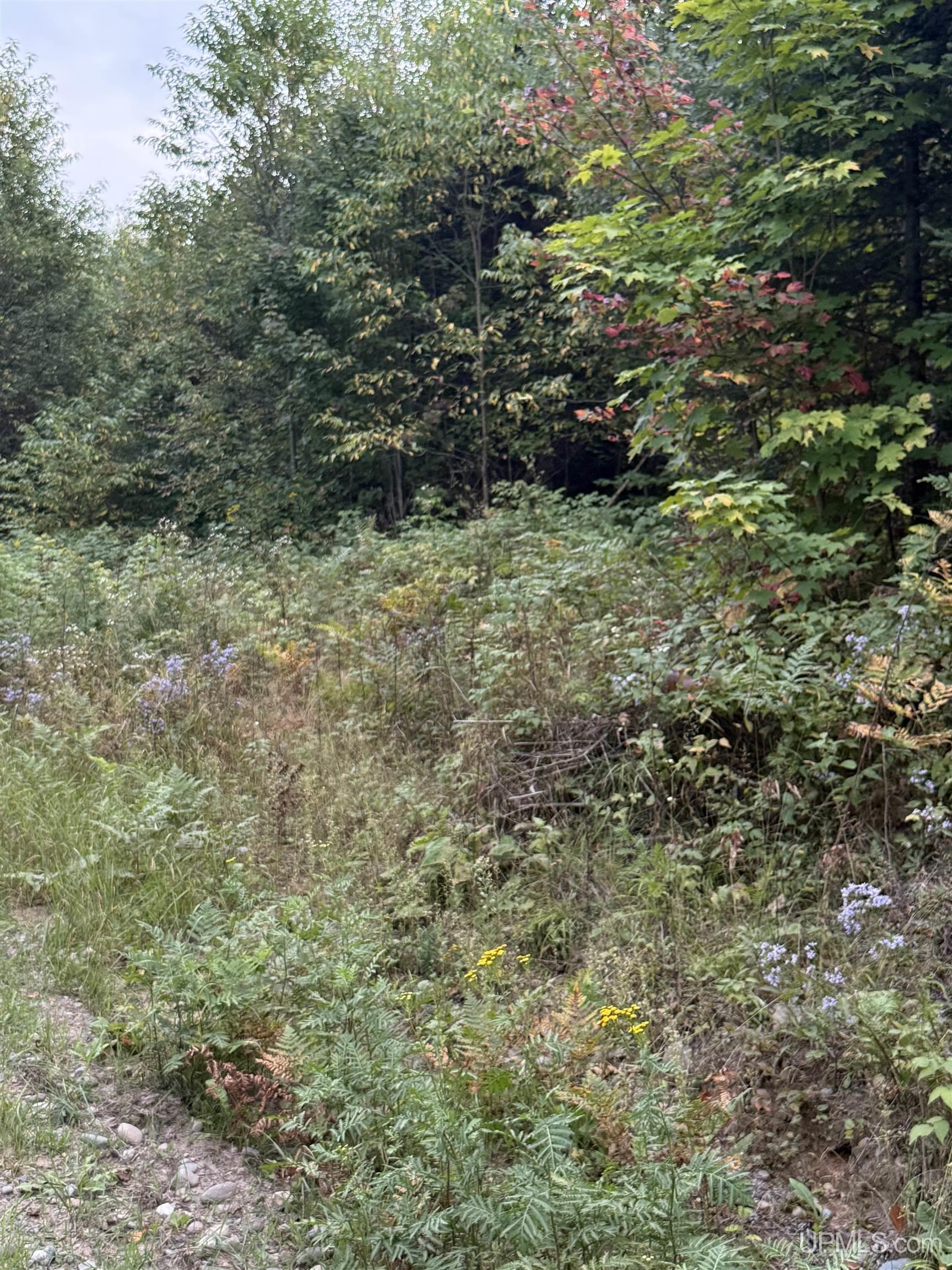 Photo 1 of Sale Pending at Tbd Morrison Crk Rd, Iron River, MI 49935 | MLS# 50222032 | Listing updated on 2026-09-24