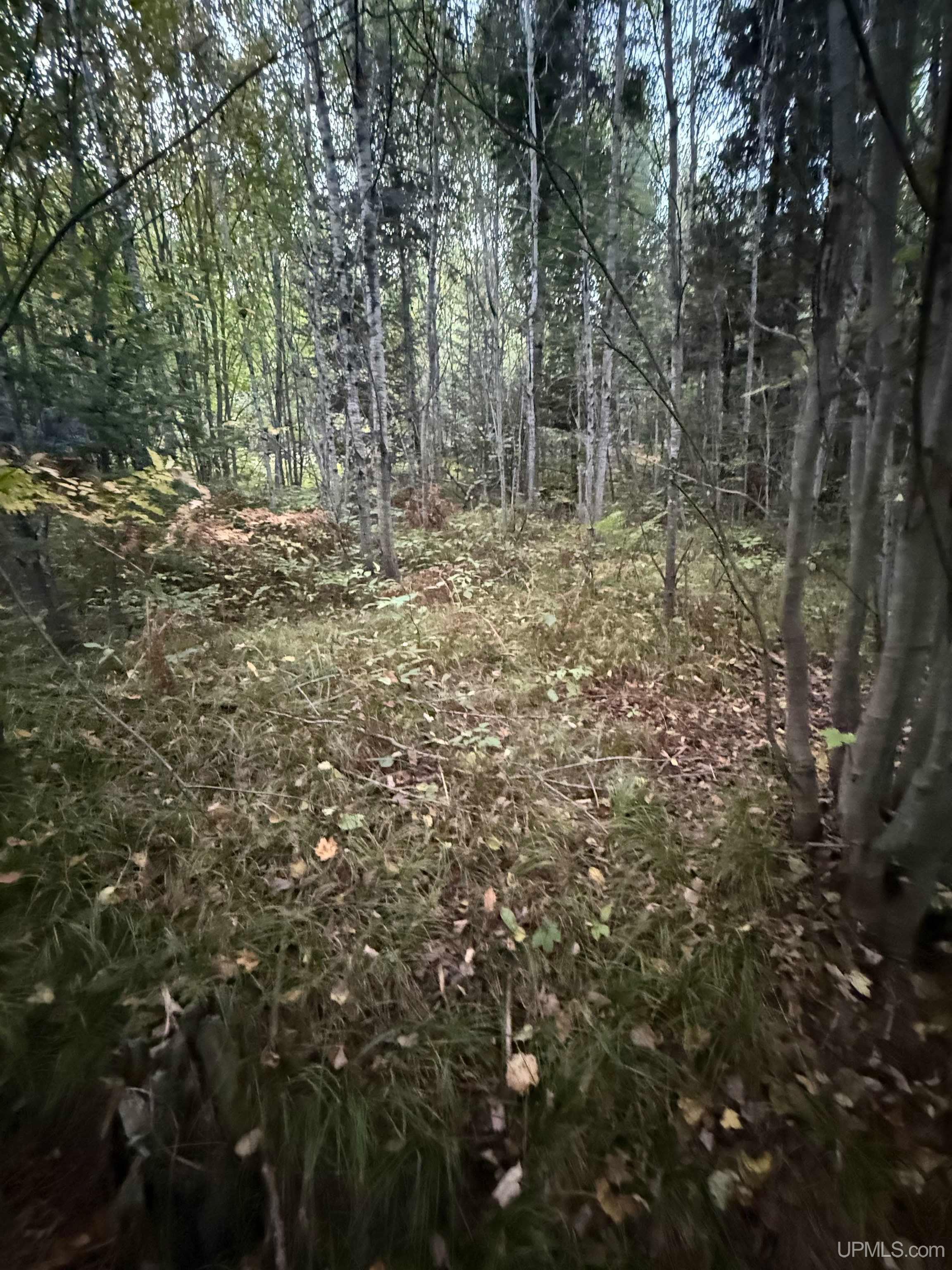 Photo 3 of Sale Pending at Tbd Morrison Crk Rd, Iron River, MI 49935 | MLS# 50222032 | Listing updated on 2026-09-24