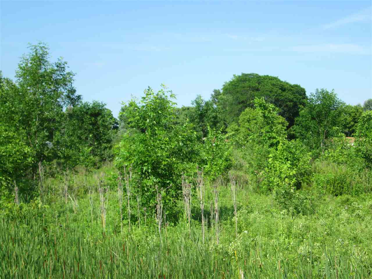 Photo 2 of Land for sale at 0 Wadhams Rd, Smiths Creek, MI 48074 | MLS# 50222092 | Listing updated on 2026-09-17