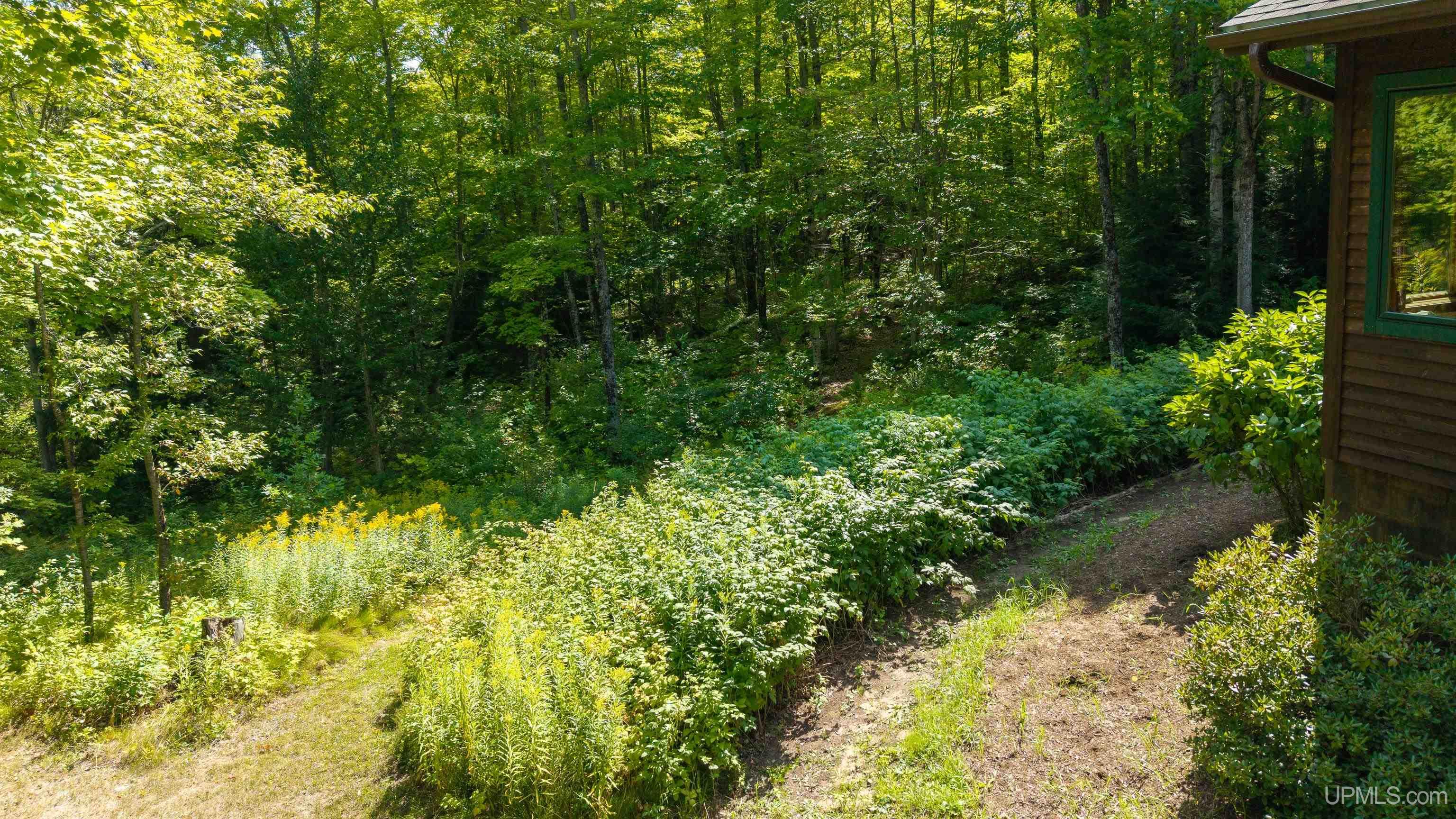 Photo 3 of Single family home for sale at 673 Co Rd 545 N, Skandia, MI 49885 | MLS# 50222113 | Listing updated on 2026-09-17