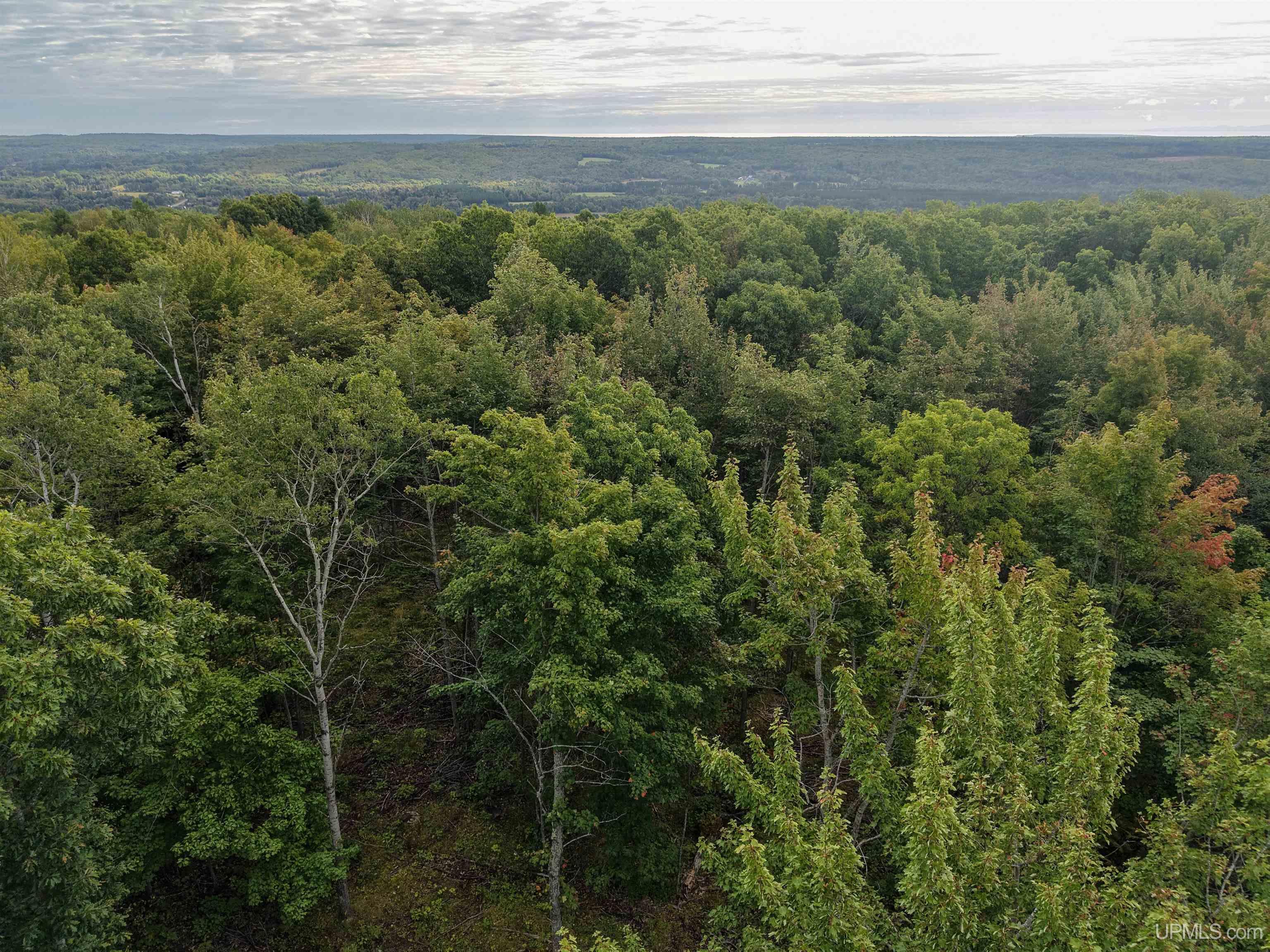 Photo 2 of Land for sale at Tbd Palosaari Rd, Calumet, MI 49913 | MLS# 50222147 | Listing updated on 2026-09-17