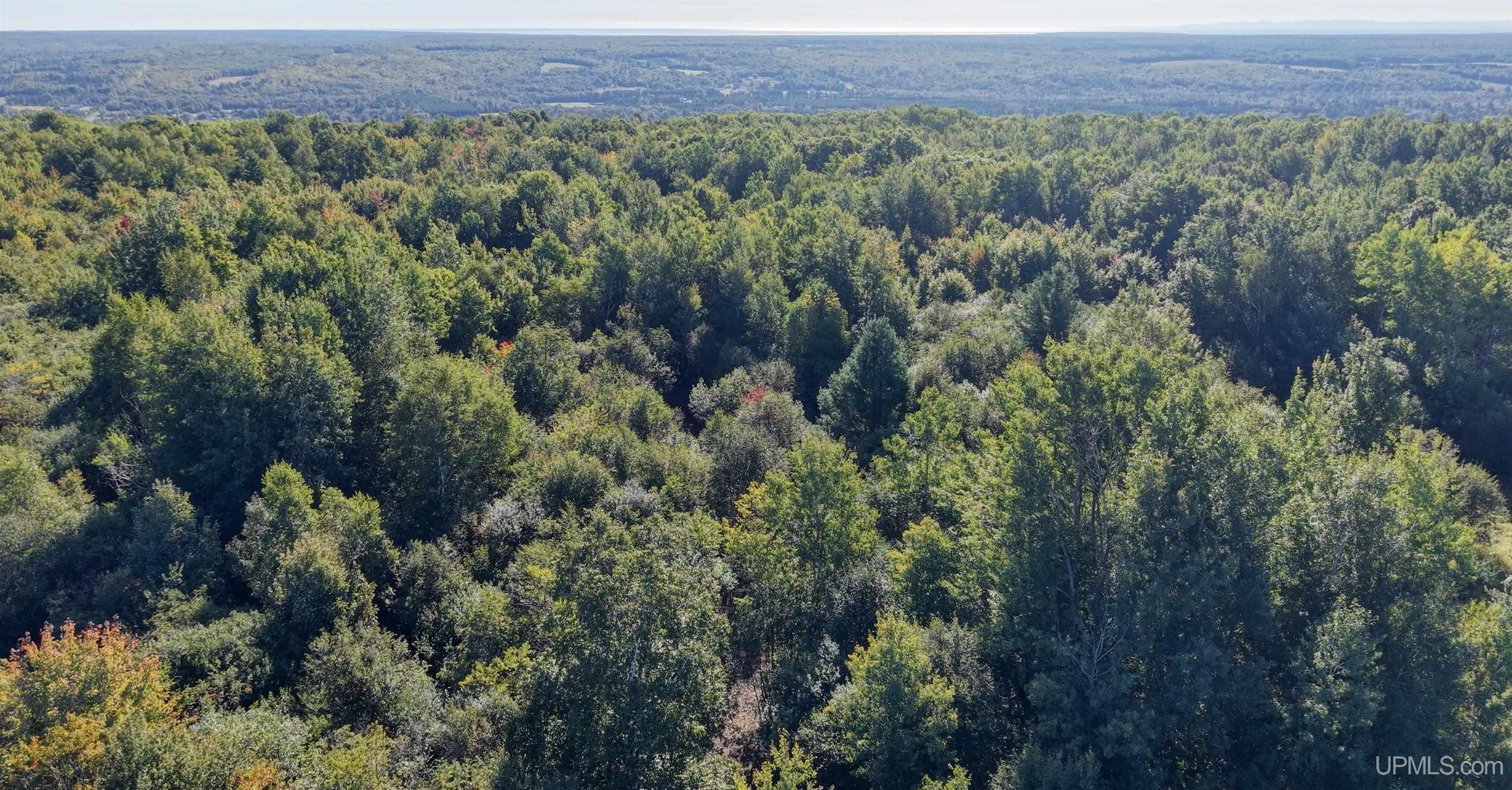 Photo 3 of Land for sale at Tbd Palosaari Rd, Calumet, MI 49913 | MLS# 50222147 | Listing updated on 2026-09-17