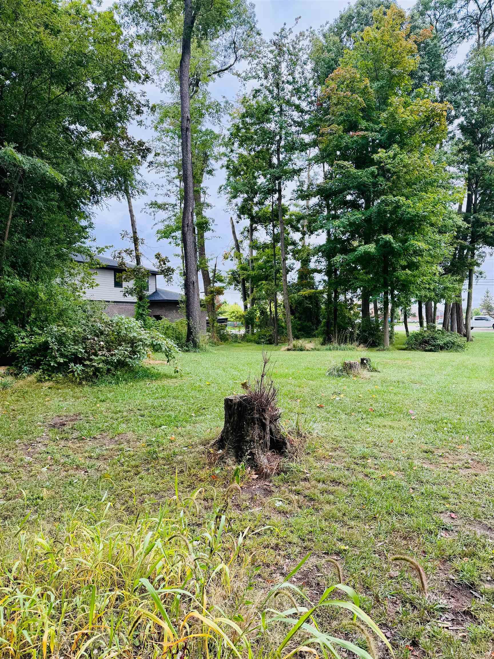 Photo 2 of Land for sale at 00 Hickey Rd, New Baltimore, MI 48051 | MLS# 50222181 | Listing updated on 2026-09-17