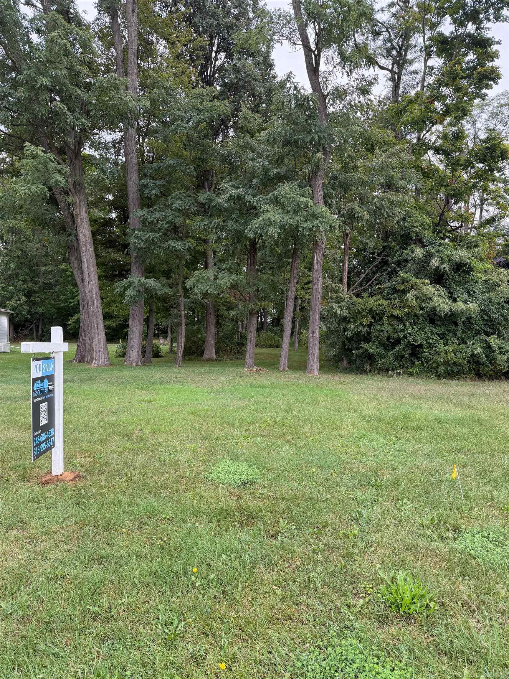 Photo 3 of Land for sale at 00 Hickey Rd, New Baltimore, MI 48051 | MLS# 50222181 | Listing updated on 2026-09-17