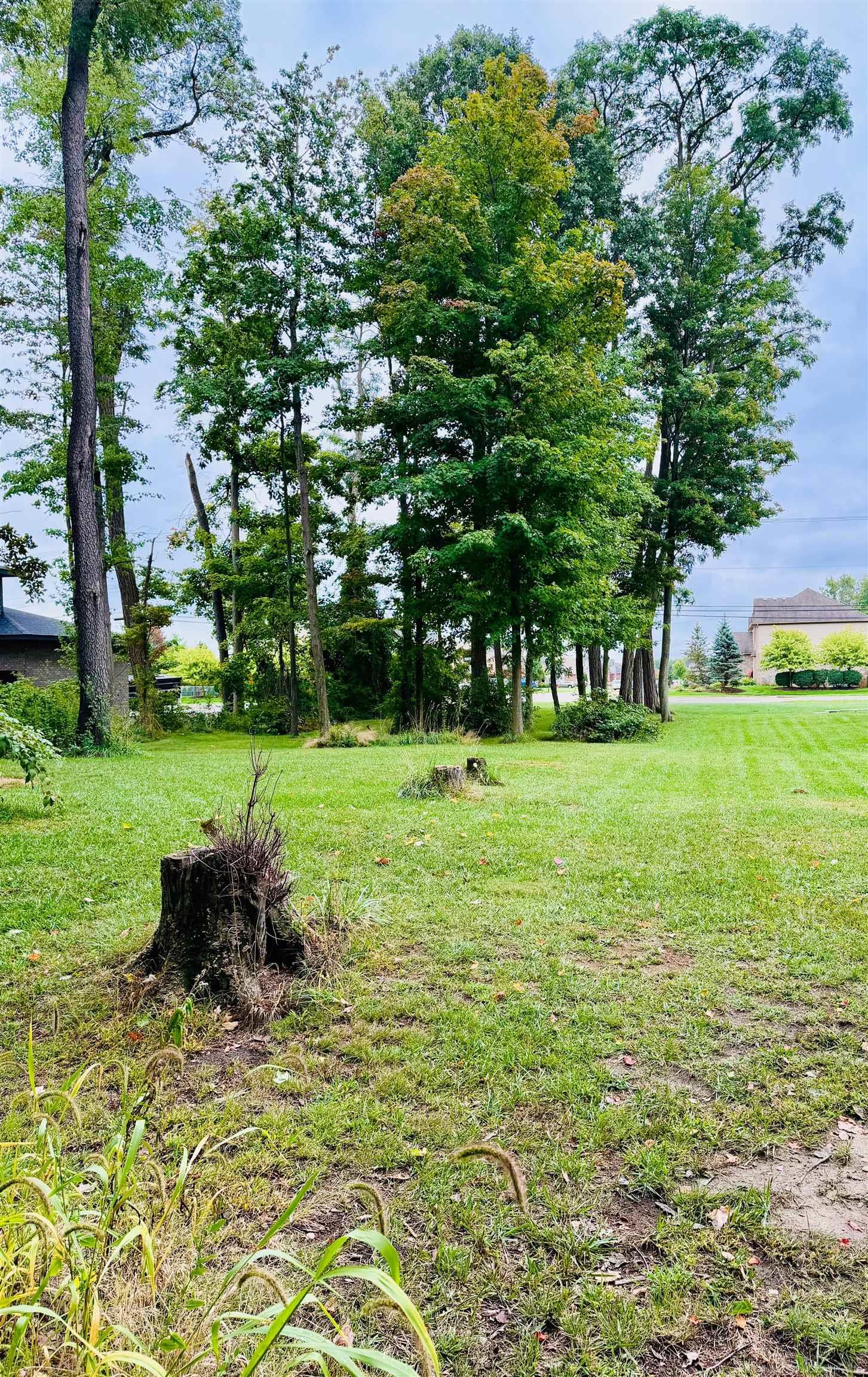 Photo 3 of Land for sale at 00 Hickey Rd, New Baltimore City Macomb, MI 48051 | MLS# 58050222181 | Listing updated on 2026-09-17