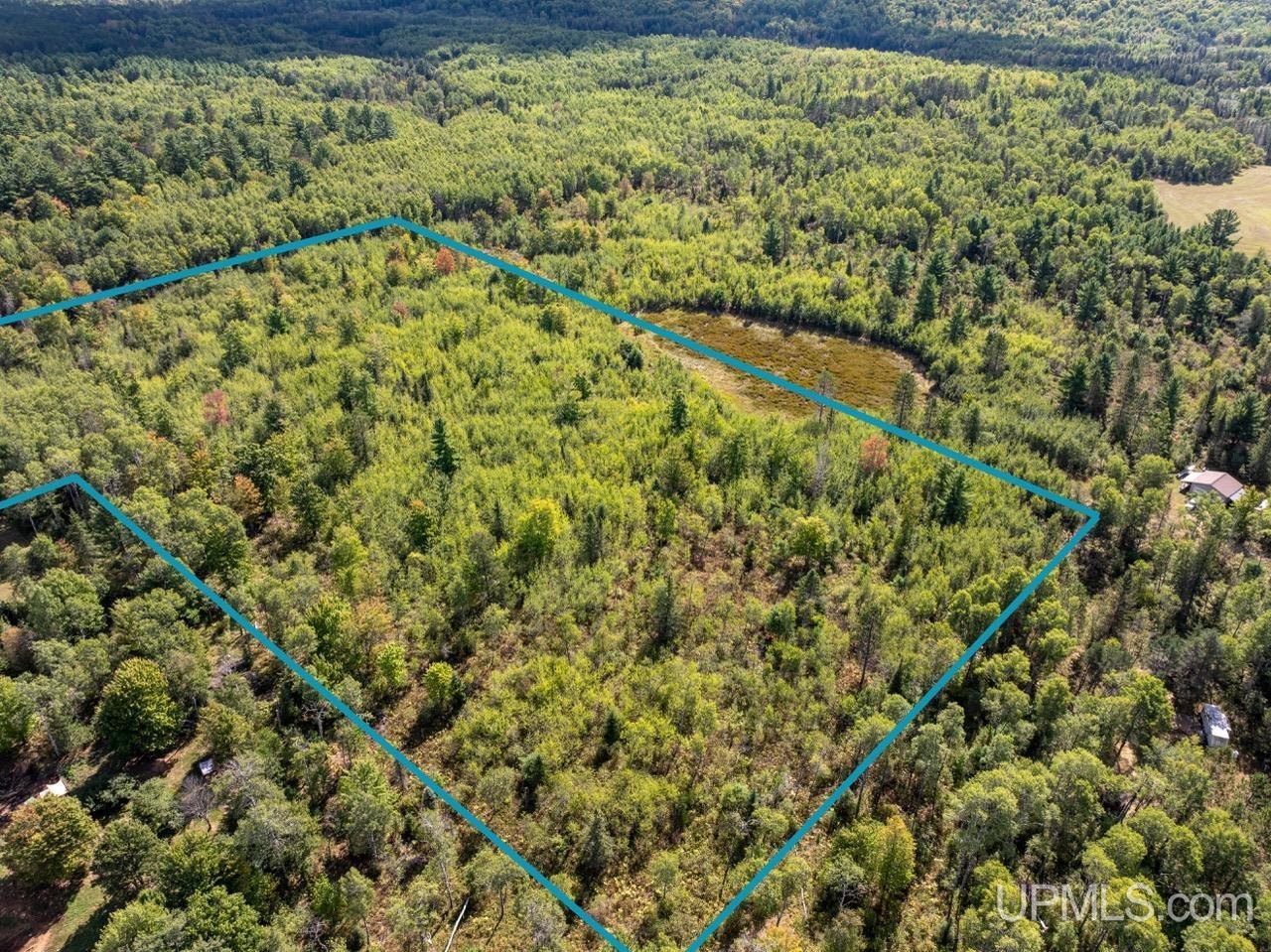 Photo 3 of Land for sale at 14 Ac Lind Rd, Crystal Falls, MI 49920 | MLS# 50222188 | Listing updated on 2026-09-17
