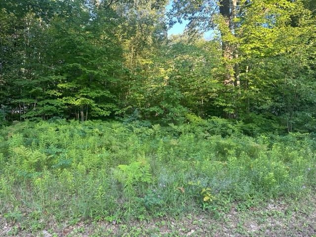 Land for sale at Nhn Nina Rd, Harrison, MI 48625 | MLS# 50222224