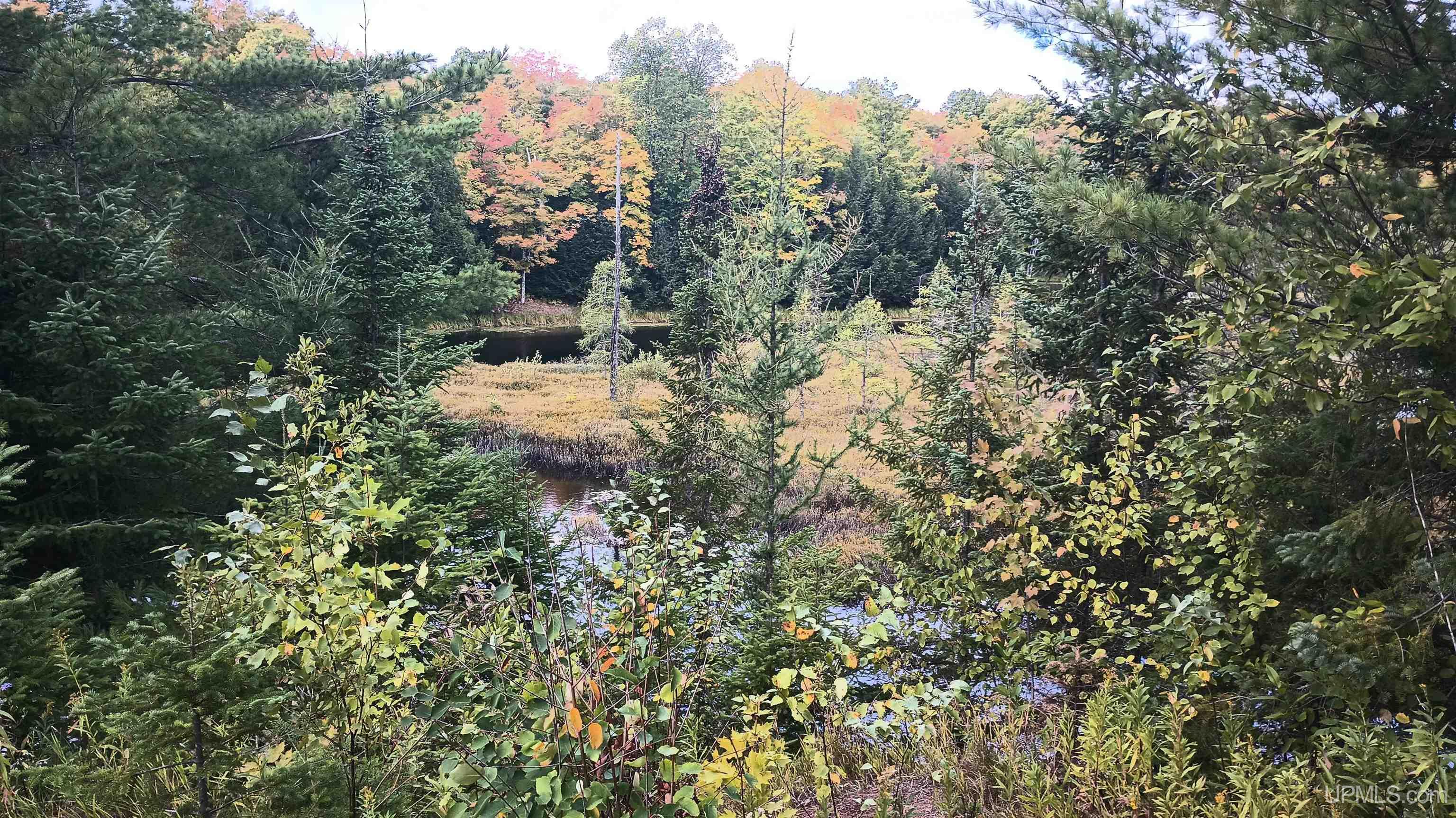 Photo 3 of Land for sale at Lot 8 Chaney Cvs Rd, Bessemer, MI 49911 | MLS# 50222264 | Listing updated on 2026-09-28