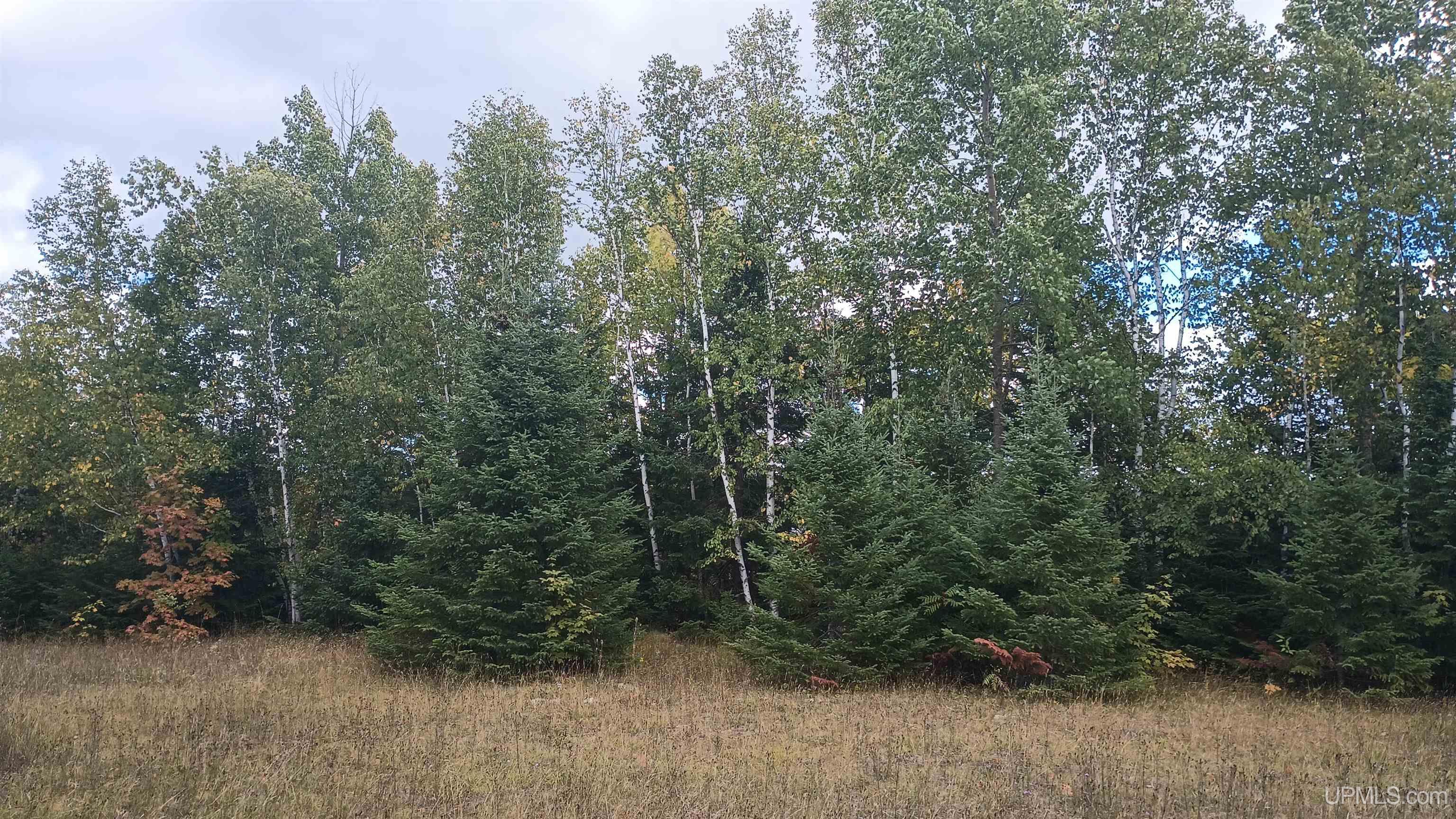 Photo 3 of Land for sale at Lot 8 Chaney Cvs Rd, Bessemer, MI 49911 | MLS# 50222264 | Listing updated on 2026-09-28