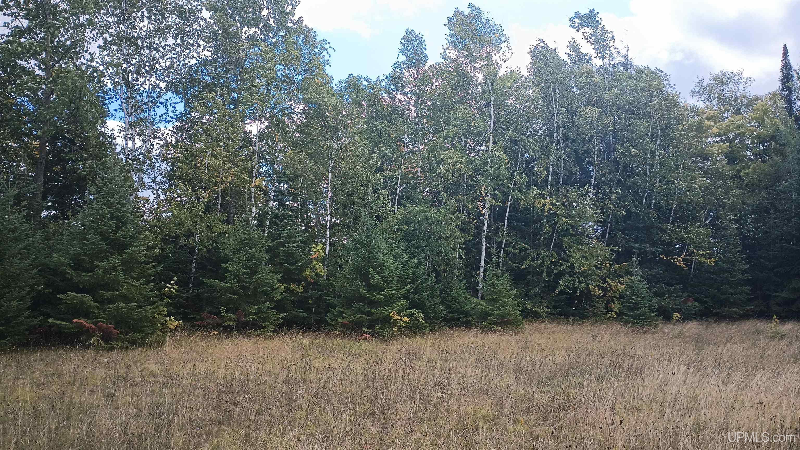 Photo 4 of Land for sale at Lot 8 Chaney Cvs Rd, Bessemer, MI 49911 | MLS# 50222264 | Listing updated on 2026-09-28