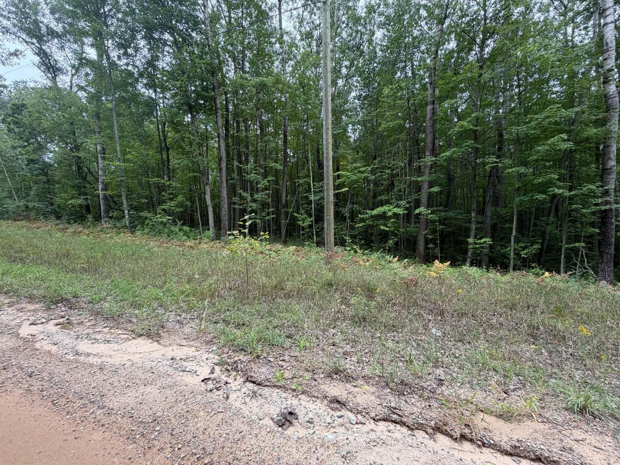 Photo 1 of Land for sale at Vl Rolling Rd, Lake, MI 48632 | MLS# 50222336 | Listing updated on 2026-09-19