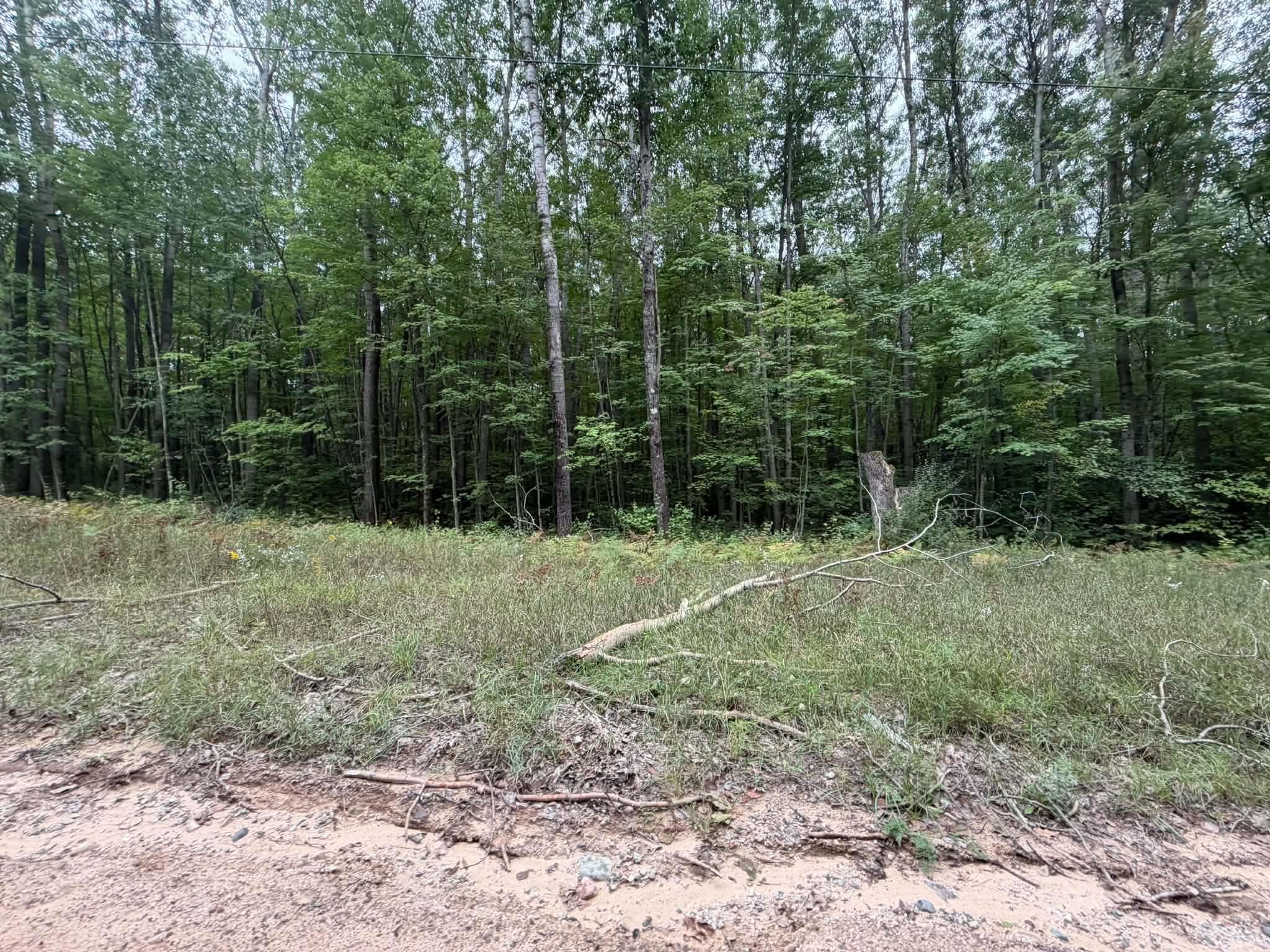 Photo 2 of Land for sale at Vl Rolling Rd, Lake, MI 48632 | MLS# 50222336 | Listing updated on 2026-09-19