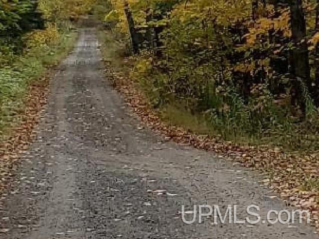 Photo 1 of Land for sale at Tbd Walt's Rd, Iron Mountain, MI 49801 | MLS# 50222439 | Listing updated on 2026-10-07