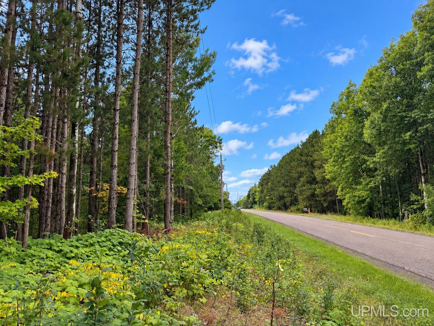 Photo 3 of Land for sale at Tbd A Obenhoff Rd, Atlantic Mine, MI 49905 | MLS# 50222475 | Listing updated on 2026-09-25