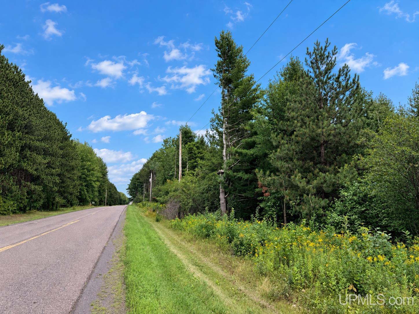 Photo 4 of Land for sale at Tbd A Obenhoff Rd, Atlantic Mine, MI 49905 | MLS# 50222475 | Listing updated on 2026-09-25