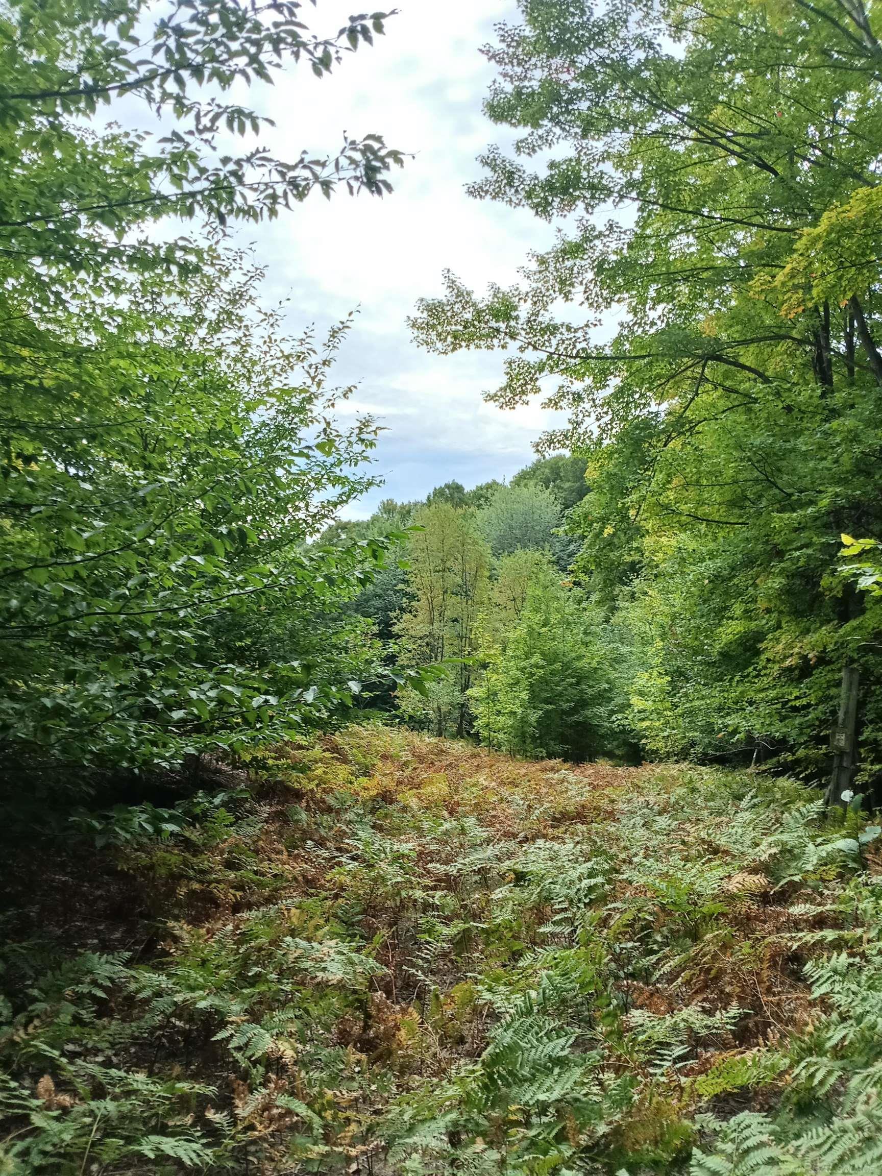 Photo 1 of Land for sale at Tbd E Dietz Rd, Boyne City City Charlevoix, MI 49712 | MLS# 58050222478 | Listing updated on 2026-09-21