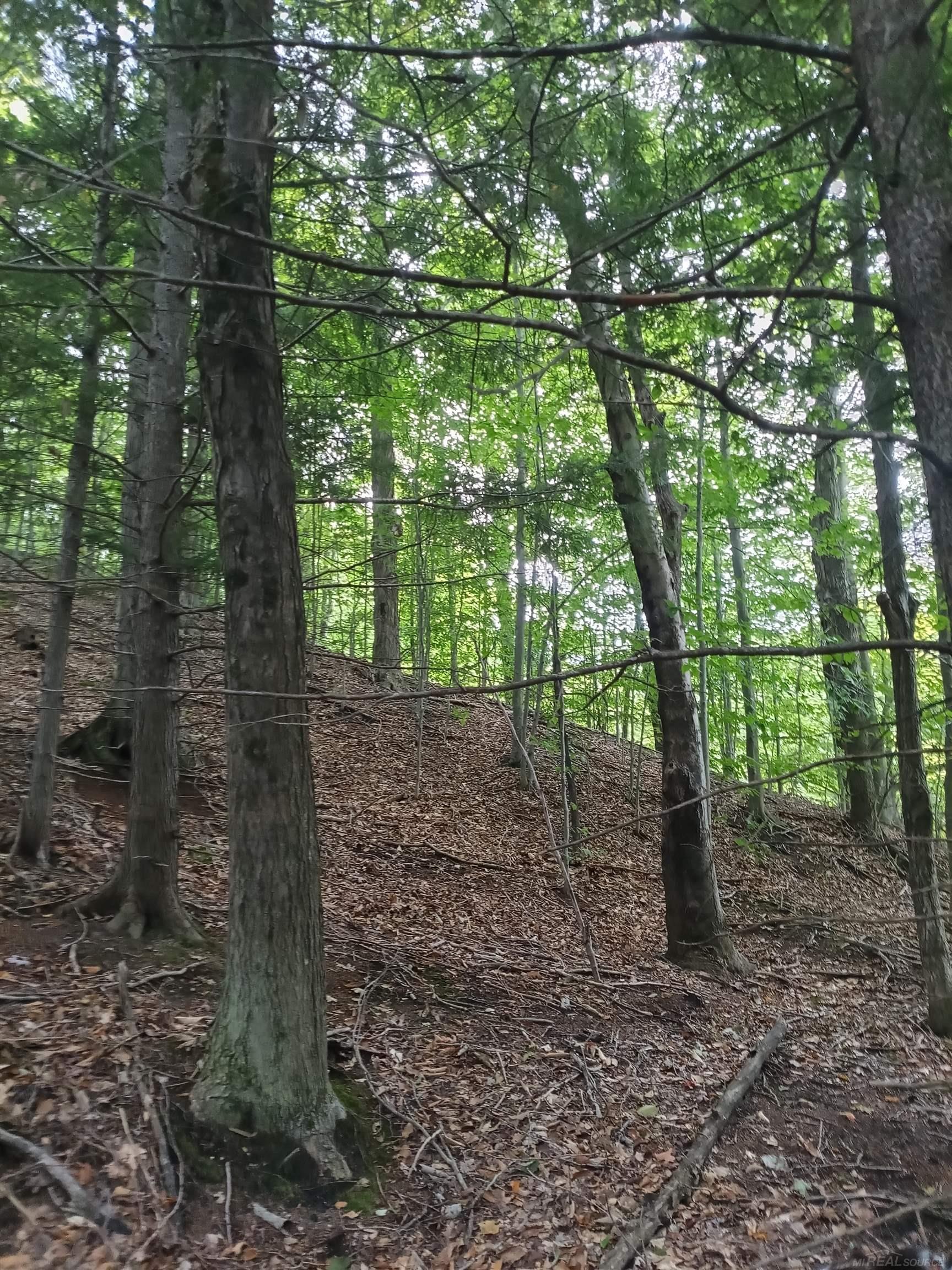 Photo 3 of Land for sale at Tbd E Dietz Rd, Boyne City City Charlevoix, MI 49712 | MLS# 58050222478 | Listing updated on 2026-09-21