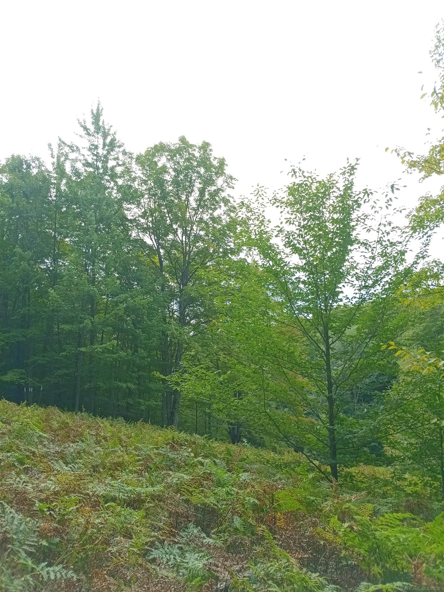 Photo 4 of Land for sale at Tbd E Dietz Rd, Boyne City, MI 49712 | MLS# 50222478 | Listing updated on 2026-09-21