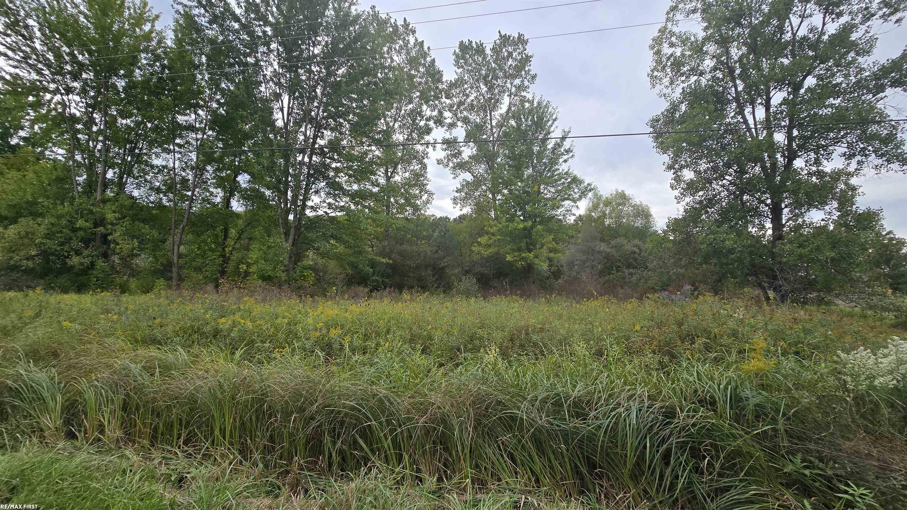 Photo 1 of Land for sale at 676 Richman Rd, Saint Clair, MI 48079 | MLS# 58050222507 | Listing updated on 2026-09-22