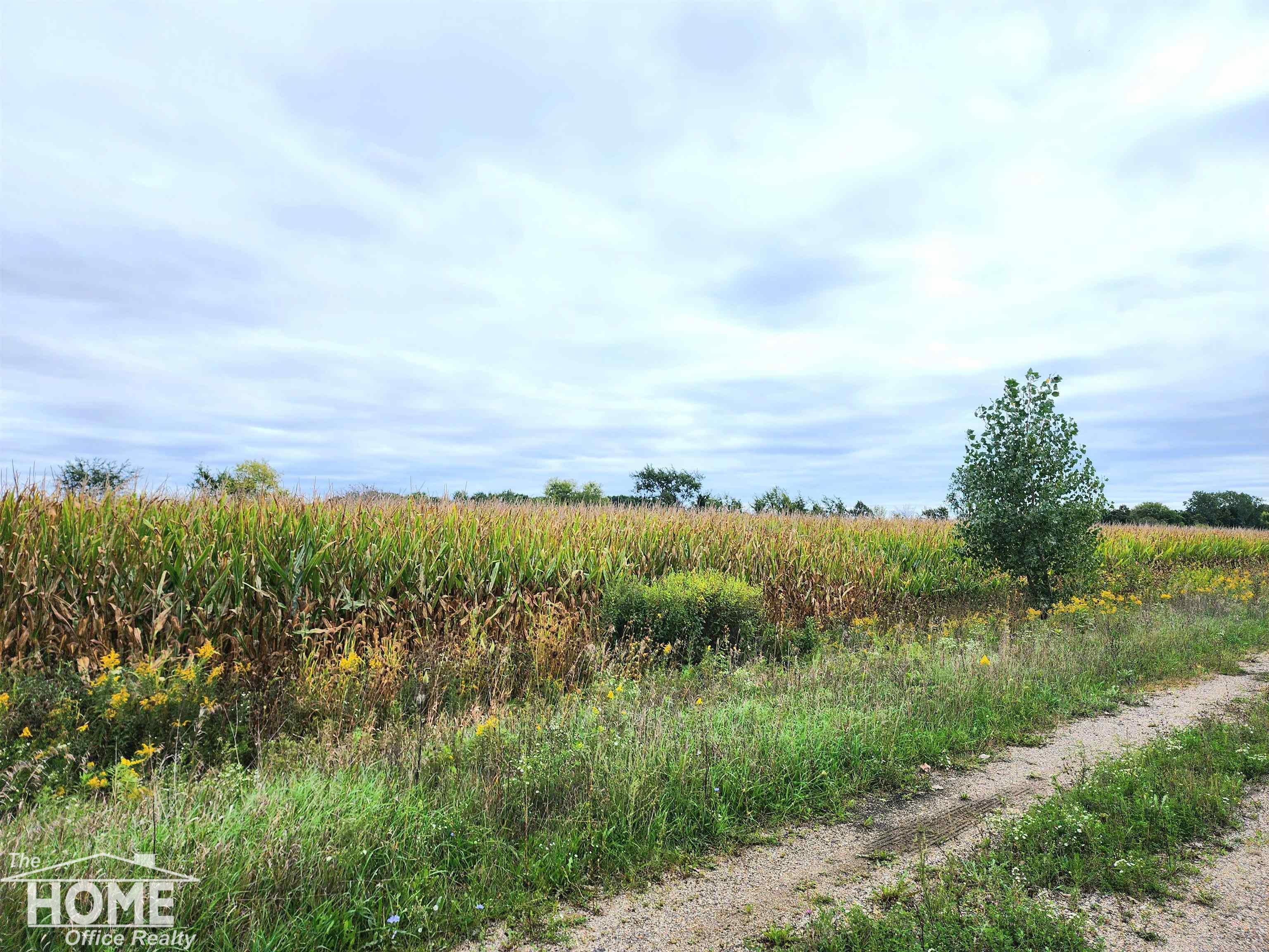 Photo 1 of Land for sale at Vacant E Wilkinson Rd, Owosso, MI 48867 | MLS# 50222510 | Listing updated on 2026-09-23