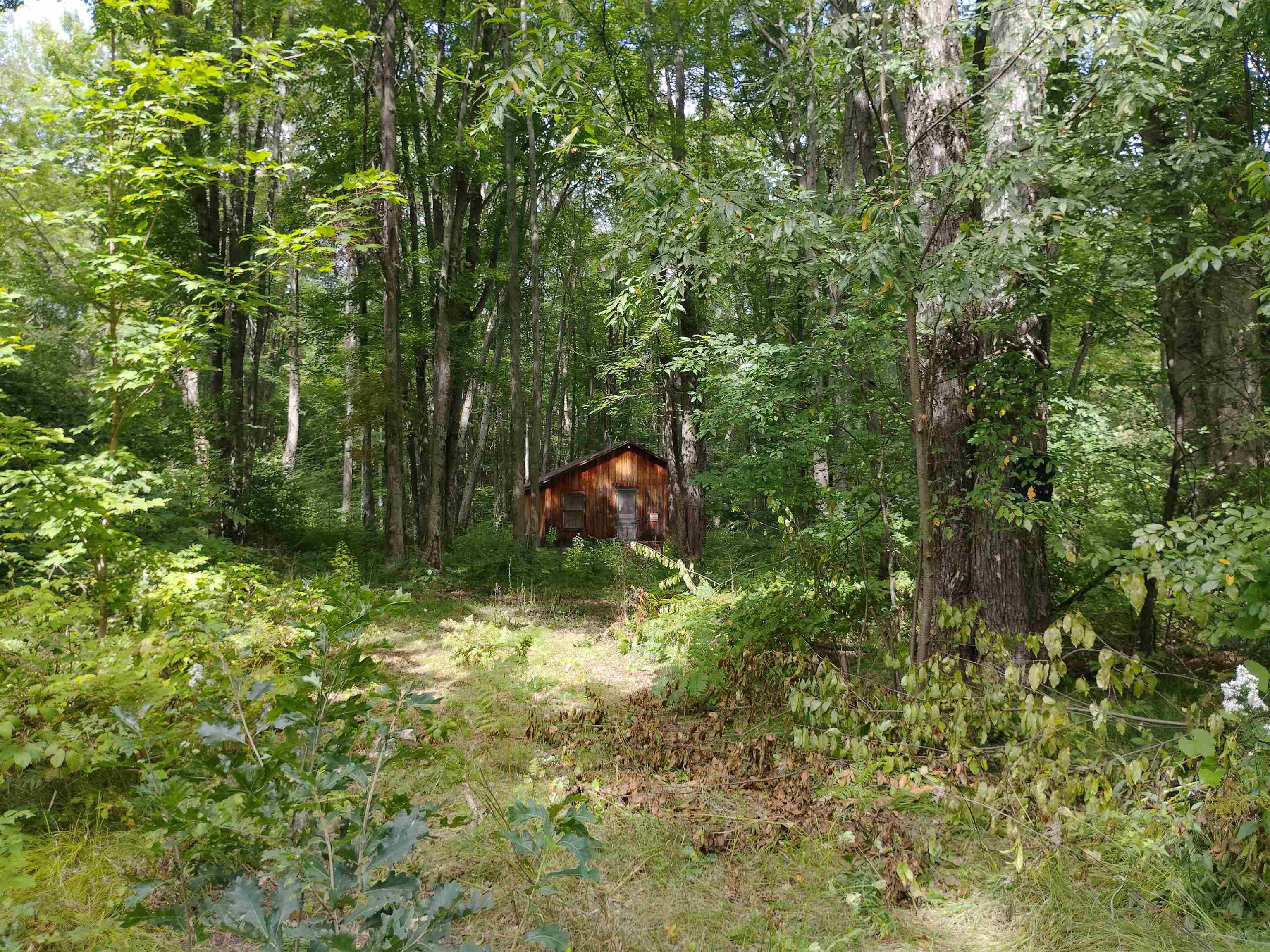 Photo 1 of Land for sale at Lot 13 Maple Ln Rd, Harrison, MI 48625 | MLS# 50222570 | Listing updated on 2026-09-22
