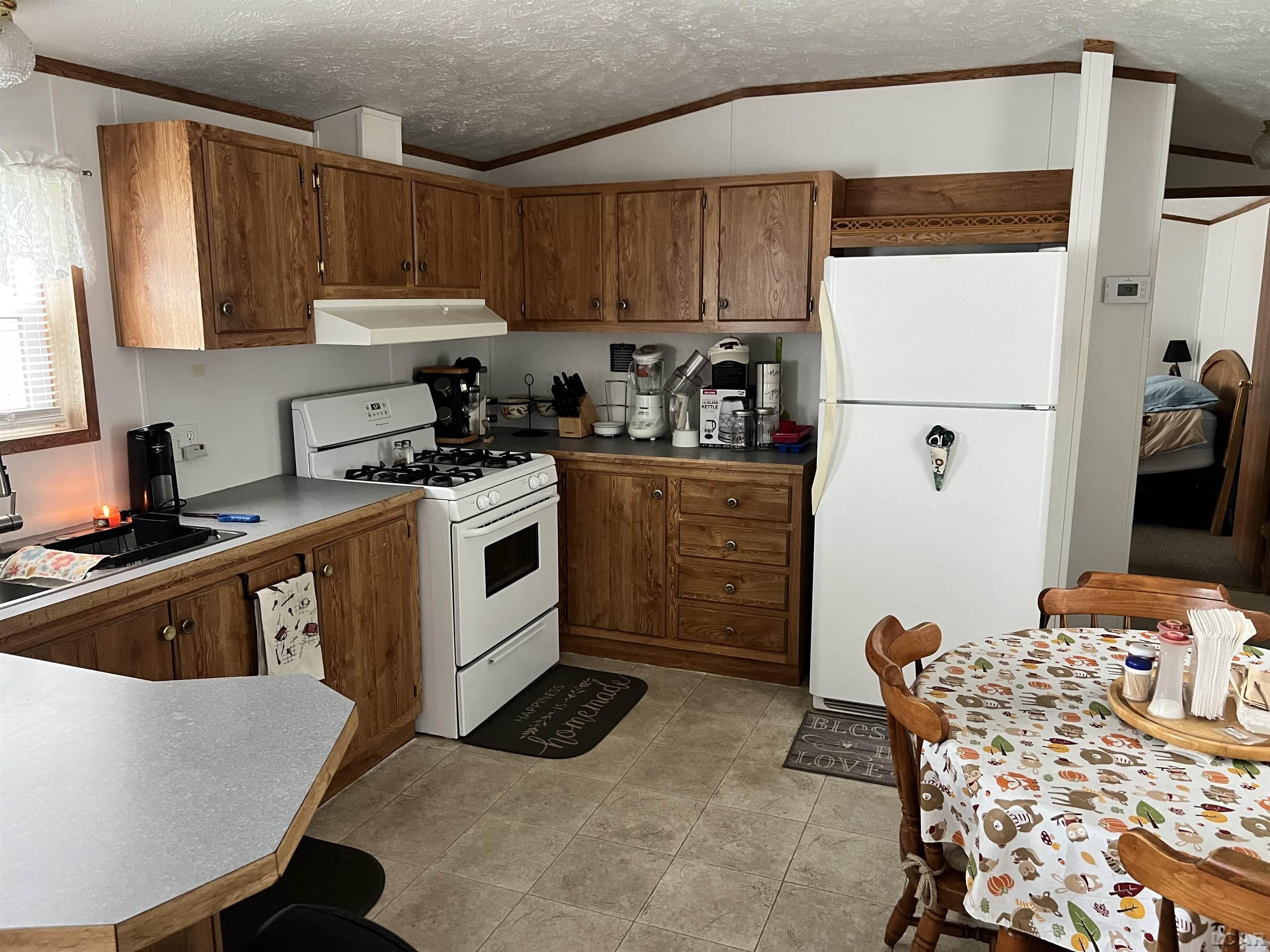 Photo 4 of Single family home for sale at 325 Grand River Dr, Adrian, MI 49221 | MLS# 56050222580 | Listing updated on 2026-09-22