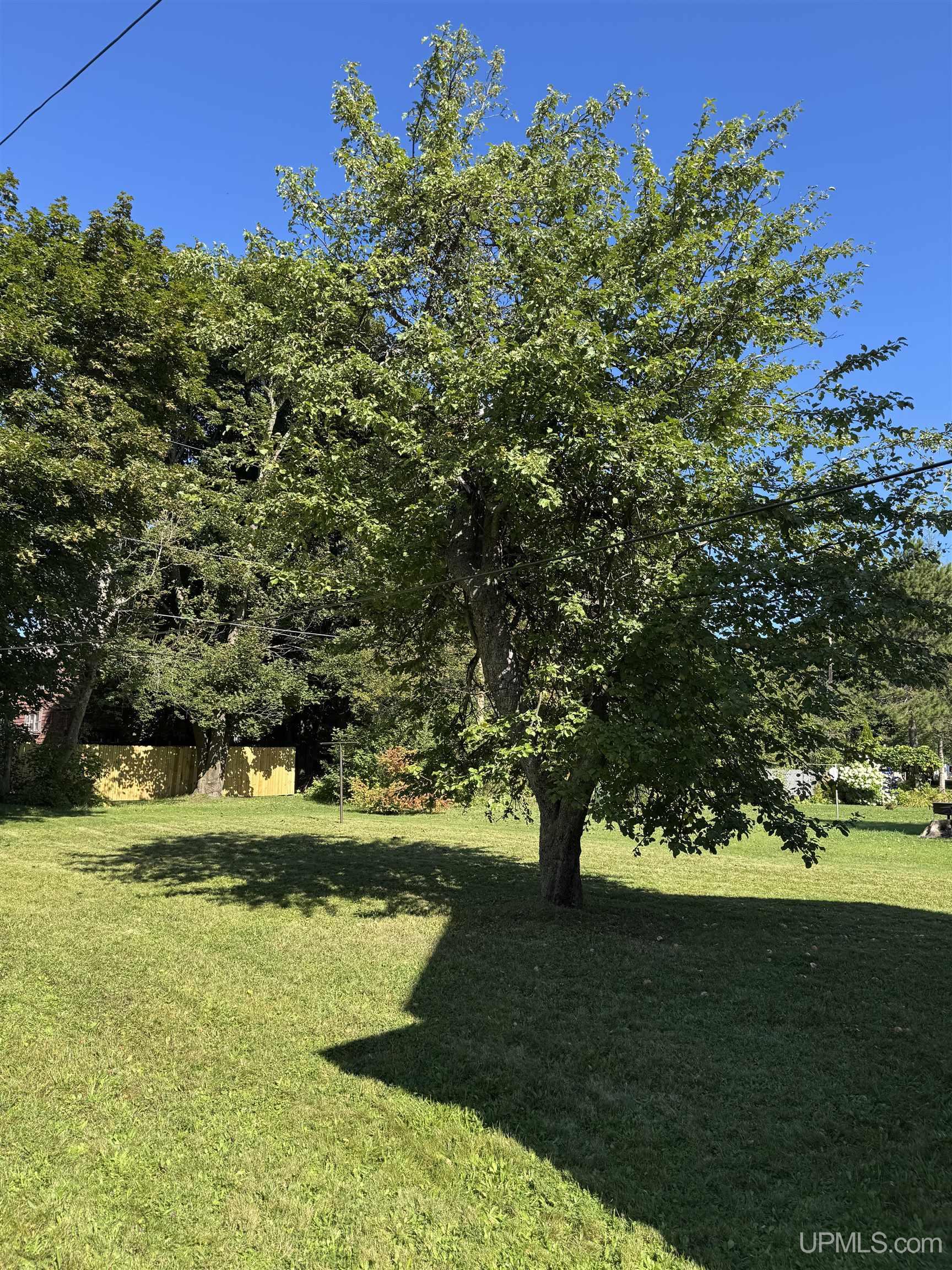 Photo 3 of Single family home for sale at 531 Iroquois St, Laurium, MI 49913 | MLS# 50222607 | Listing updated on 2026-10-05
