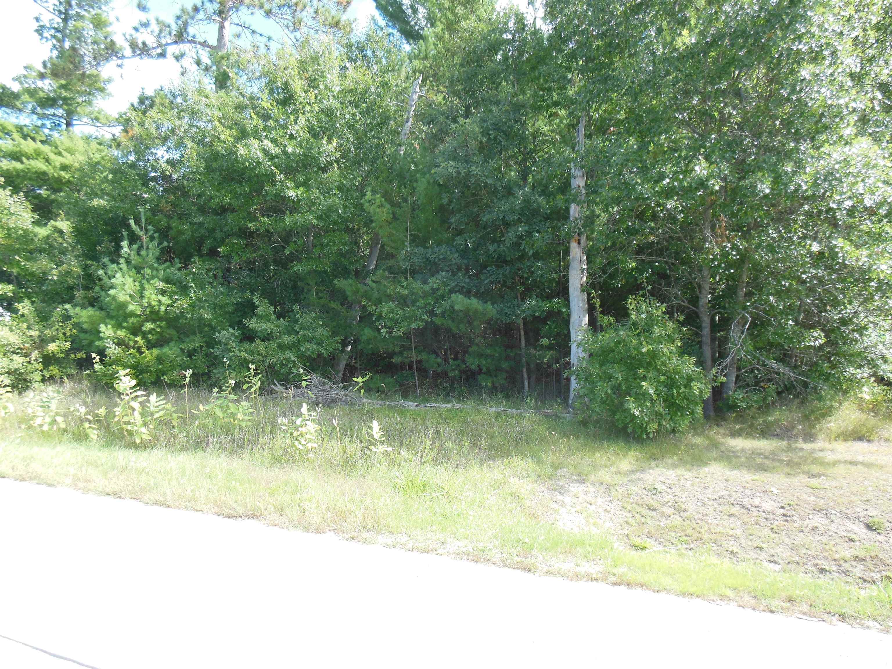 Land for sale at 4906 N Clare Ave, Harrison, MI 48625 | MLS# 50222708