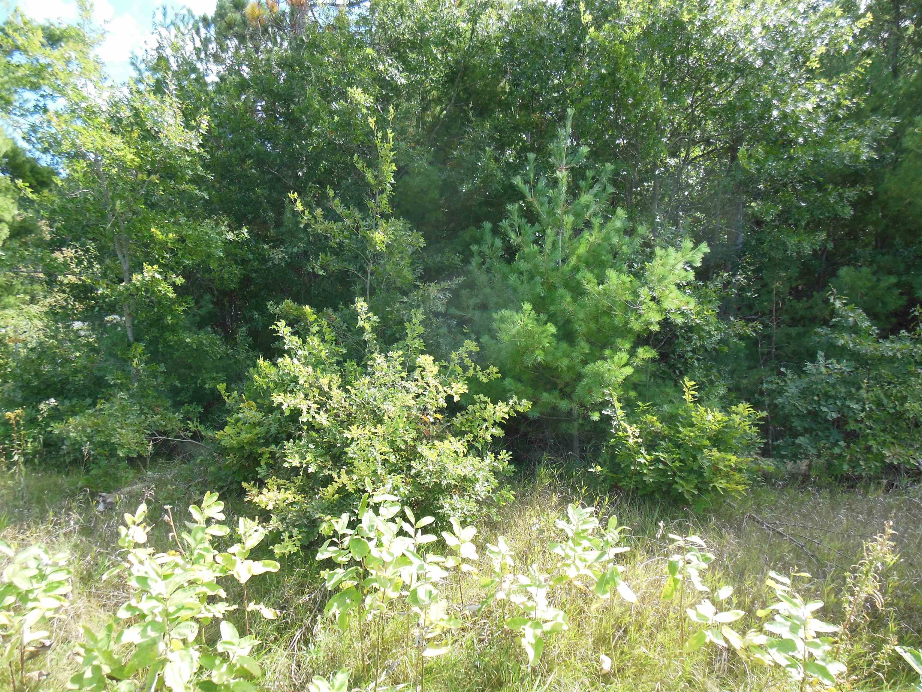 Photo 3 of Land for sale at 4906 N Clare Ave, Harrison, MI 48625 | MLS# 50222708 | Listing updated on 2026-09-23