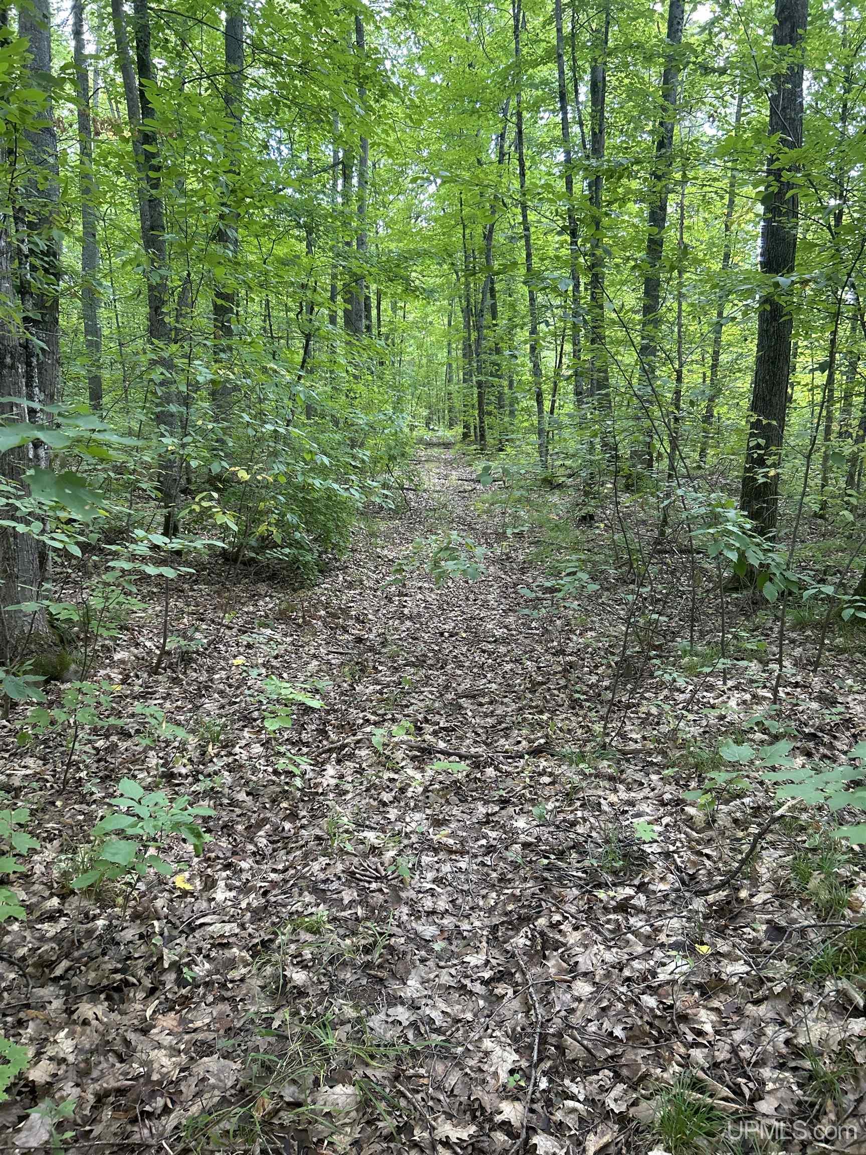 Photo 3 of Land for sale at Tbd Victoria Rd, Ewen, MI 49925 | MLS# 50222931 | Listing updated on 2026-09-25