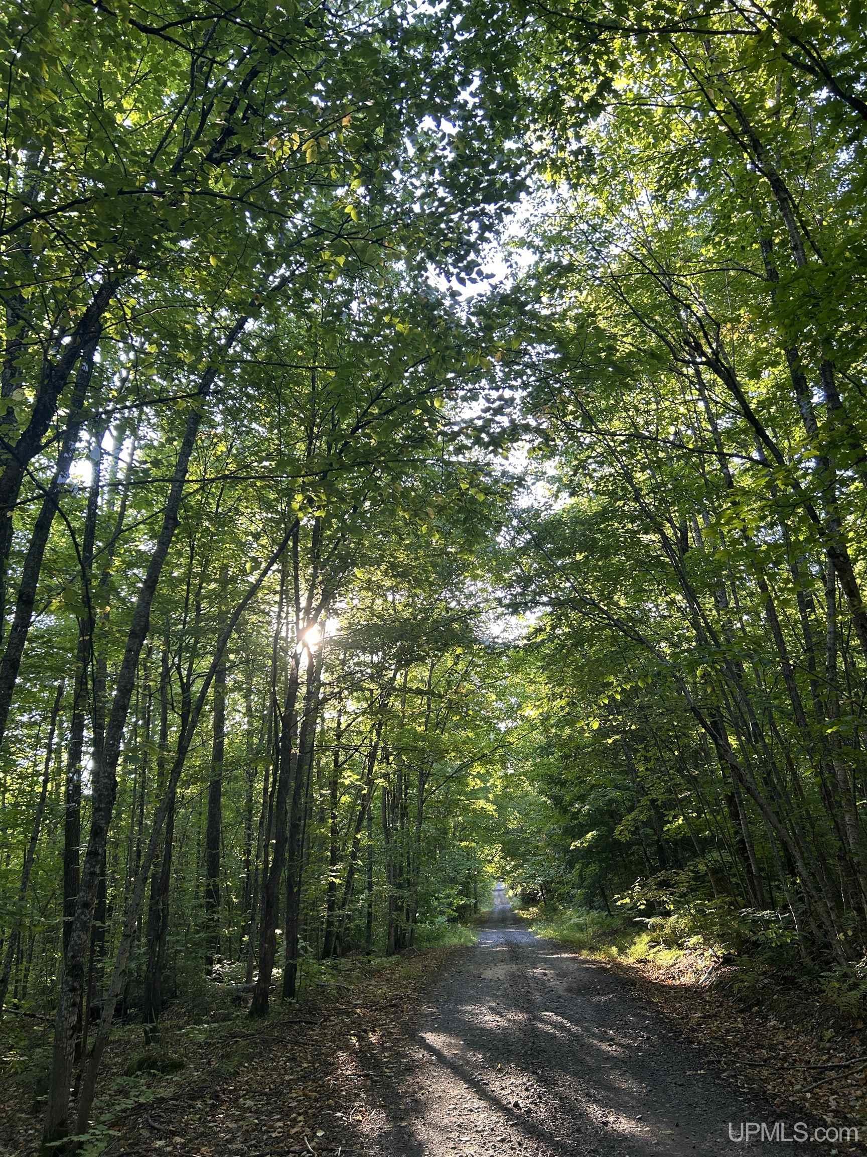 Photo 3 of Land for sale at Tbd Victoria Rd, Ewen, MI 49925 | MLS# 50222931 | Listing updated on 2026-09-25
