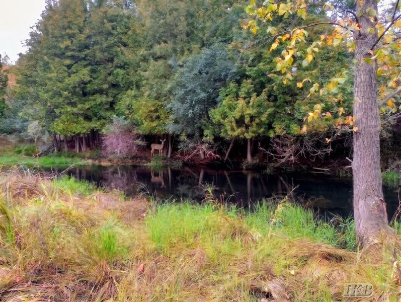 Land for sale at 35.11 N Acres Hockaday Rd, Gladwin, MI 48624 | MLS# 50223046