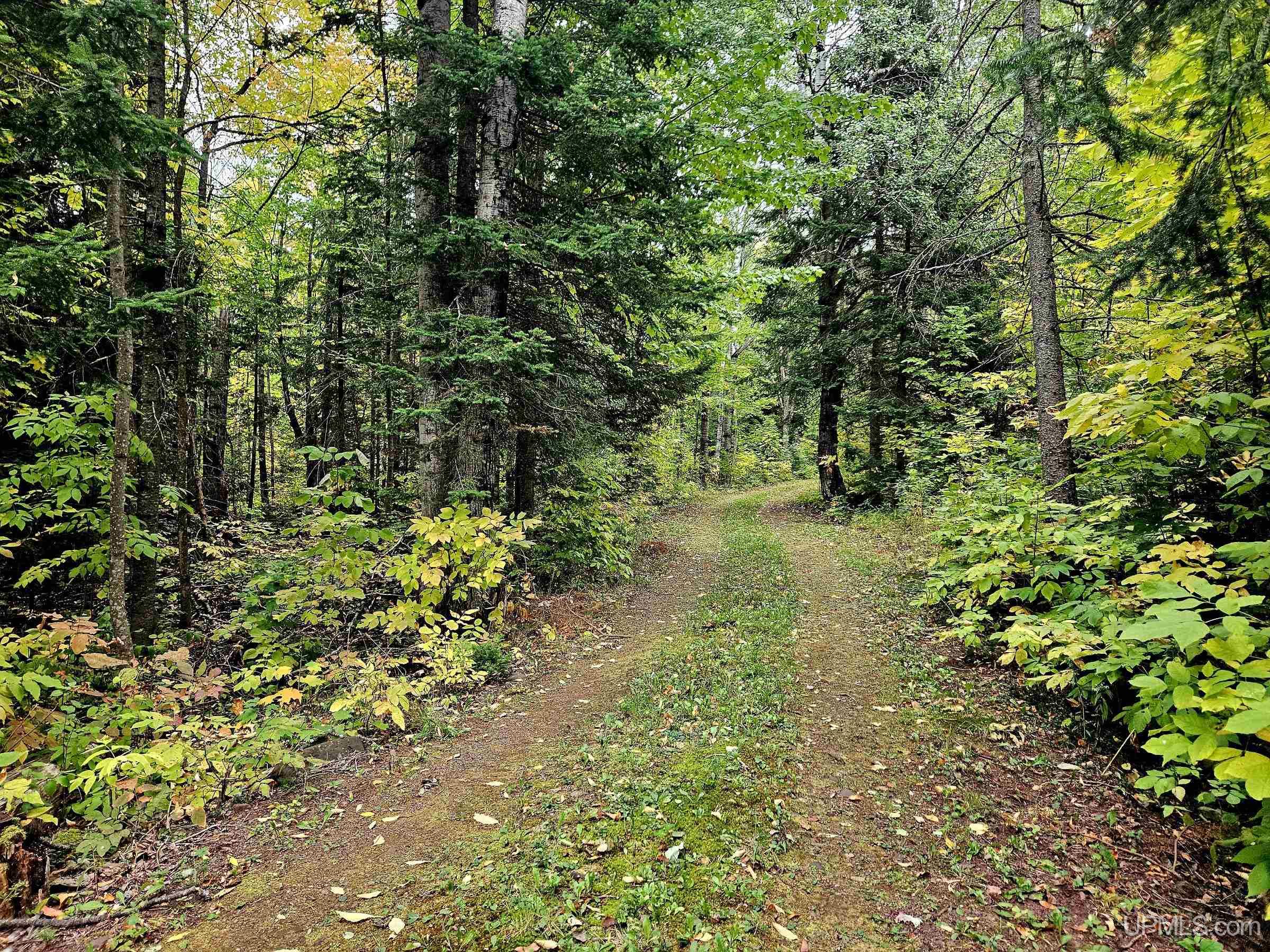 Land for sale at N12756 Vanderhagen Rd, Ironwood, MI 49938 | MLS# 50223072